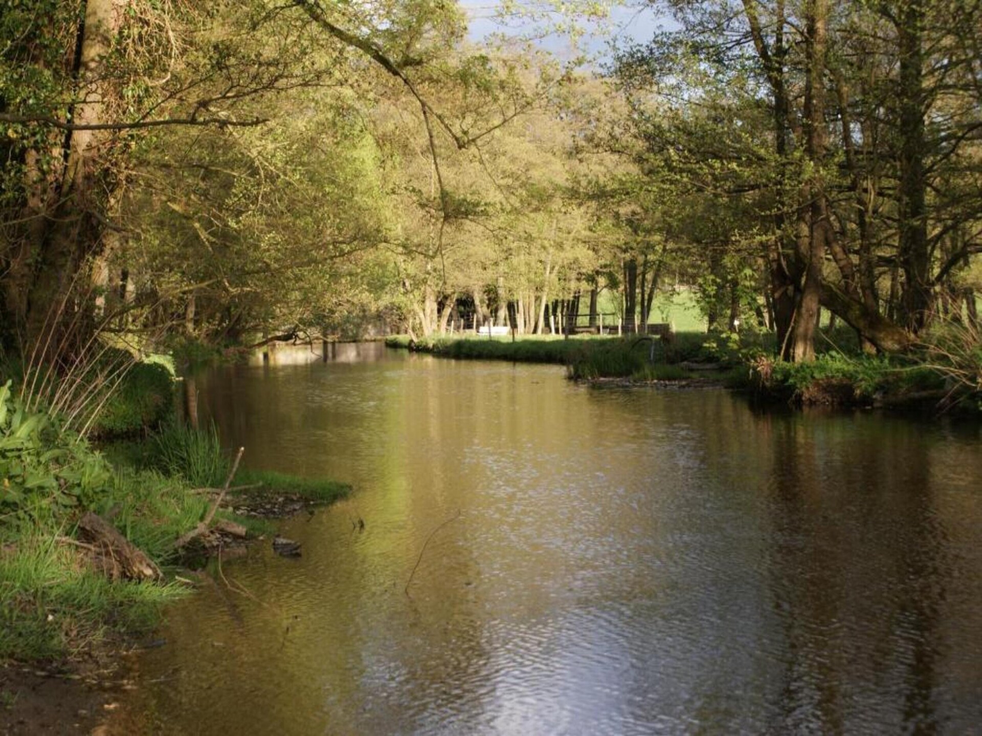Sprookjesachtig kasteel in het bos van Roumont voor 10 personen - foto 29