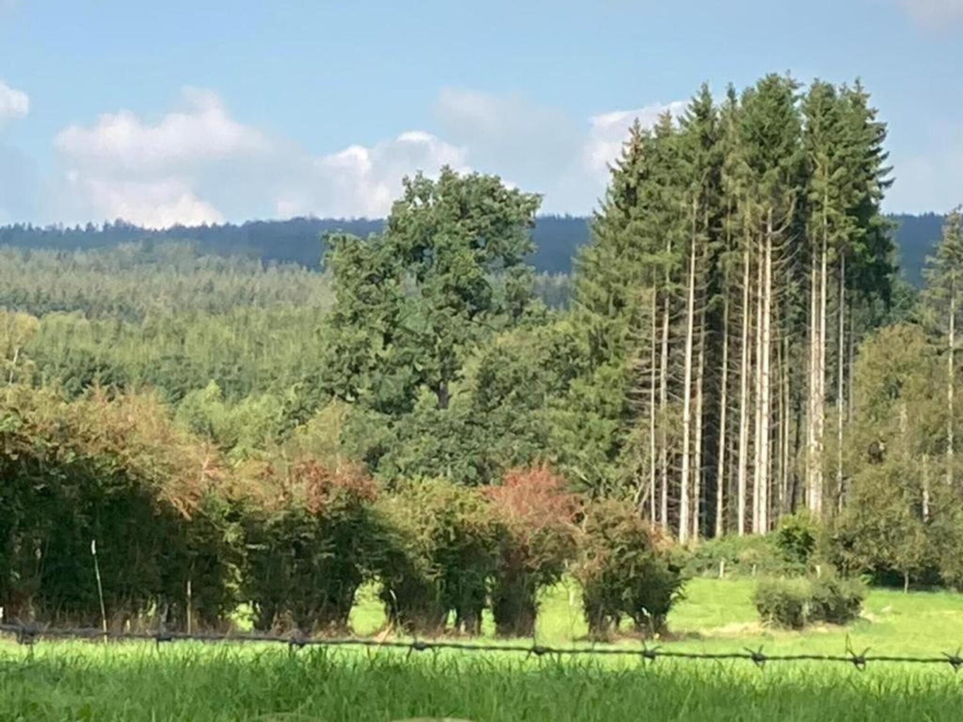 Sprookjesachtig kasteel in het bos van Roumont voor 10 personen - foto 32