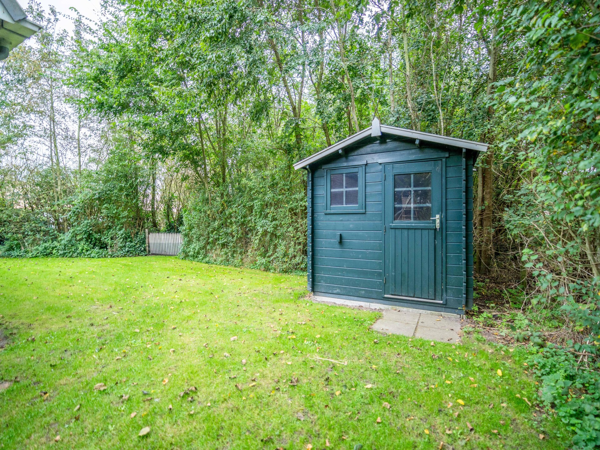 Moderne vrijstaande bungalow in bosrijk natuurgebied De Waal, 5 personen - foto 15