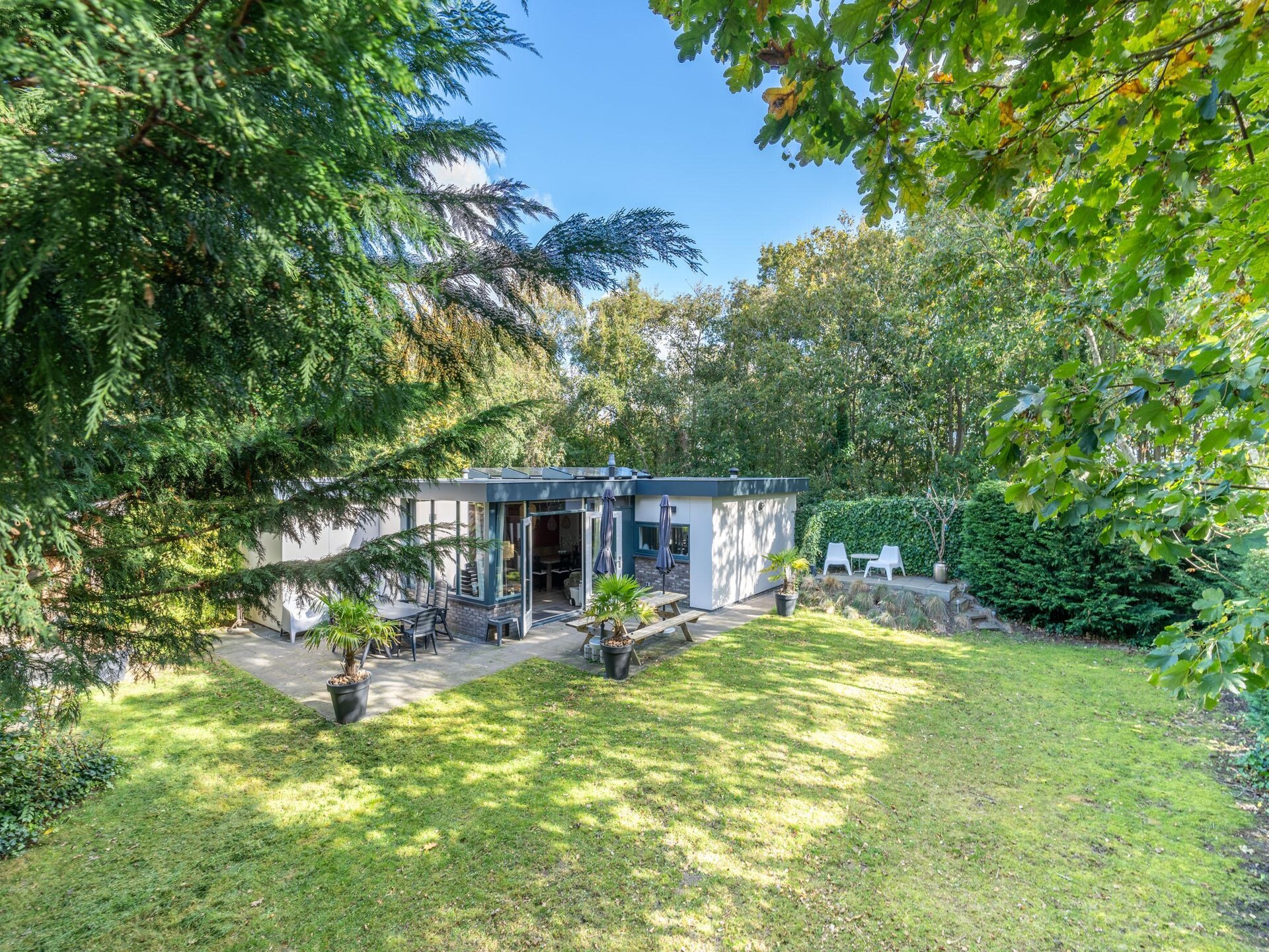 Vrijstaande bosbungalow voor 6 personen met omheinde tuin en oplaadpunt - foto 25