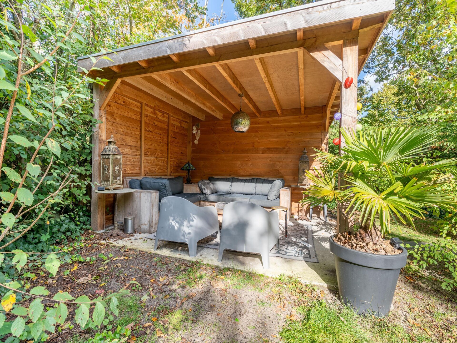 Vrijstaande bosbungalow voor 6 personen met omheinde tuin en oplaadpunt - foto 26