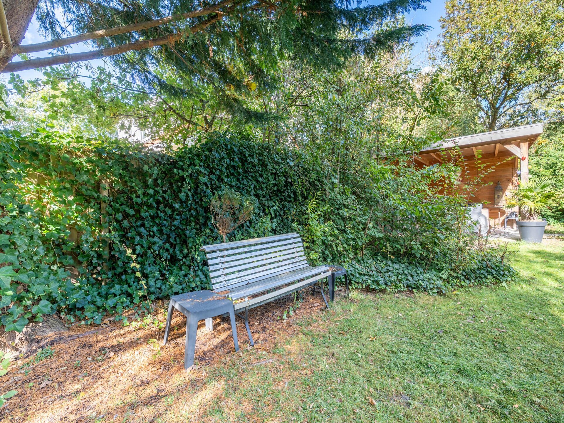 Vrijstaande bosbungalow voor 6 personen met omheinde tuin en oplaadpunt - foto 28