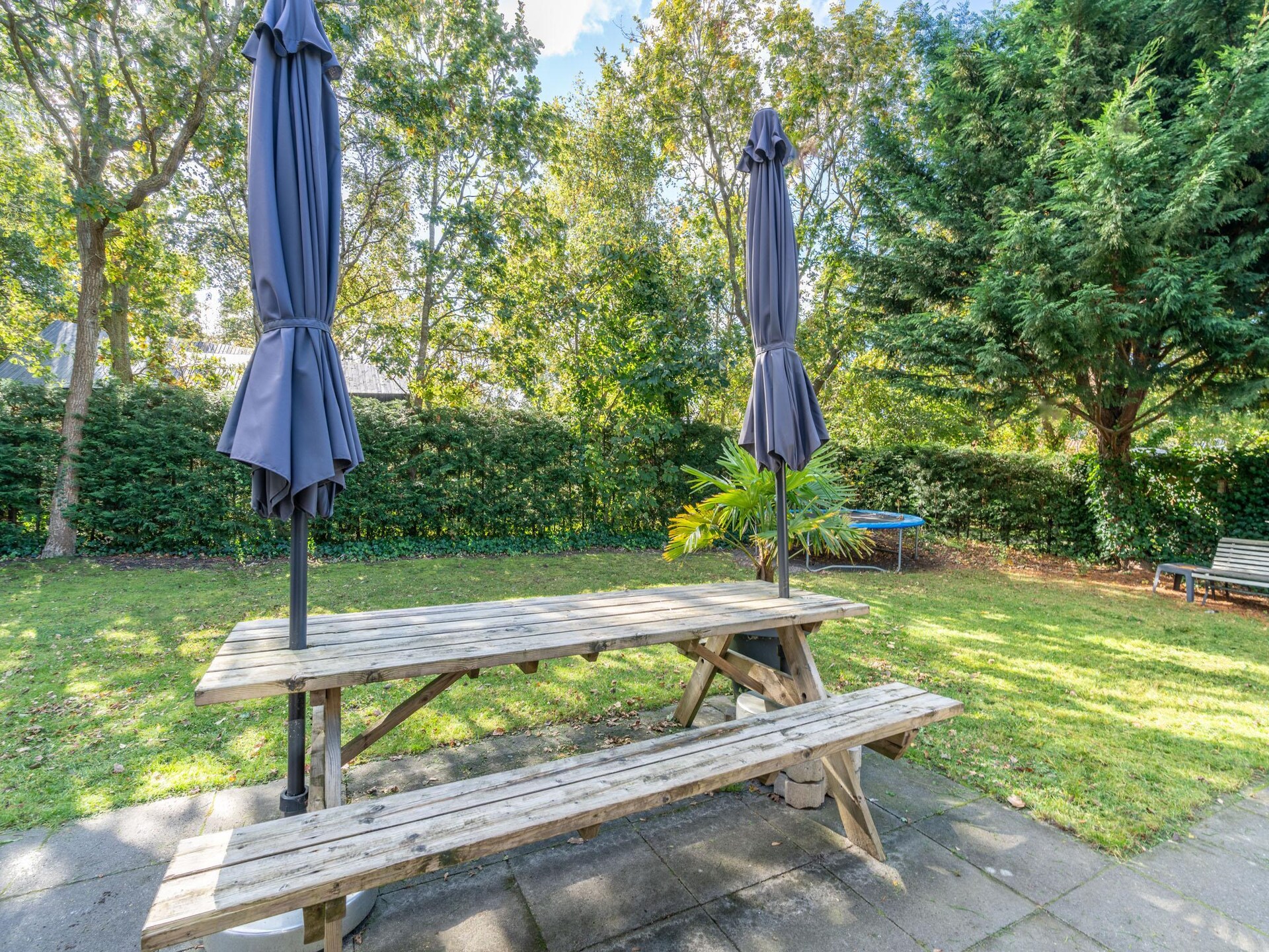 Vrijstaande bosbungalow voor 6 personen met omheinde tuin en oplaadpunt - foto 29