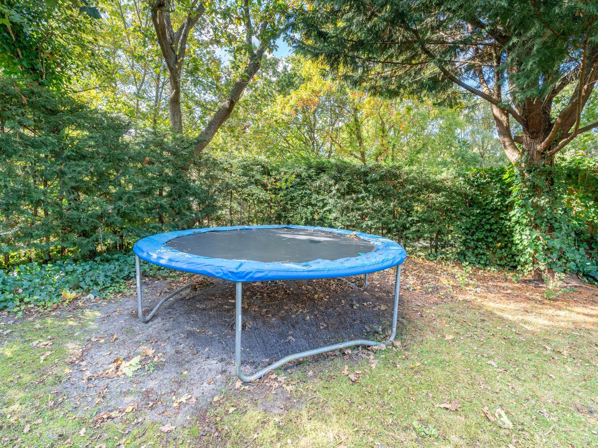 Vrijstaande bosbungalow voor 6 personen met omheinde tuin en oplaadpunt - foto 30