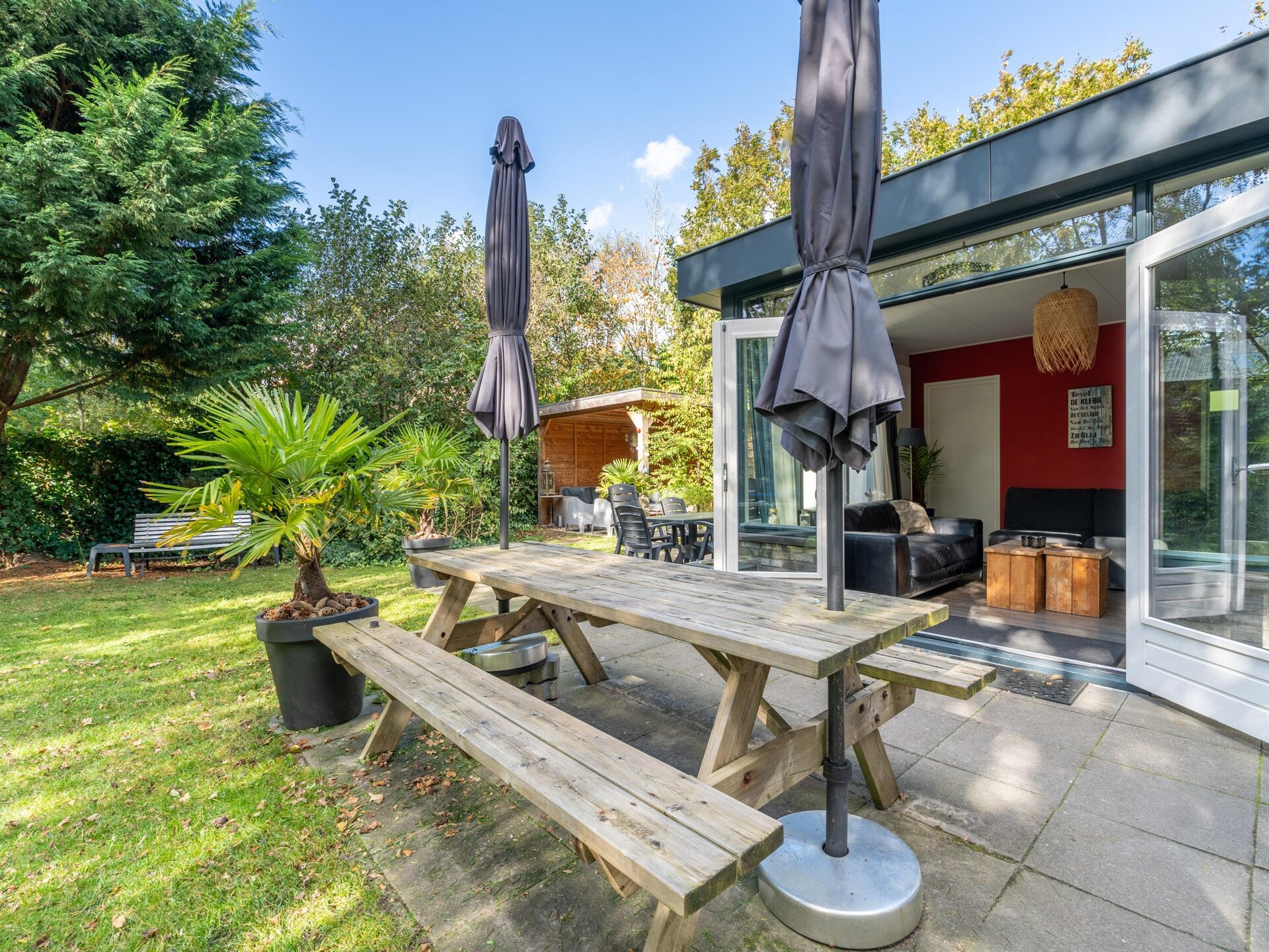 Vrijstaande bosbungalow voor 6 personen met omheinde tuin en oplaadpunt - foto 22