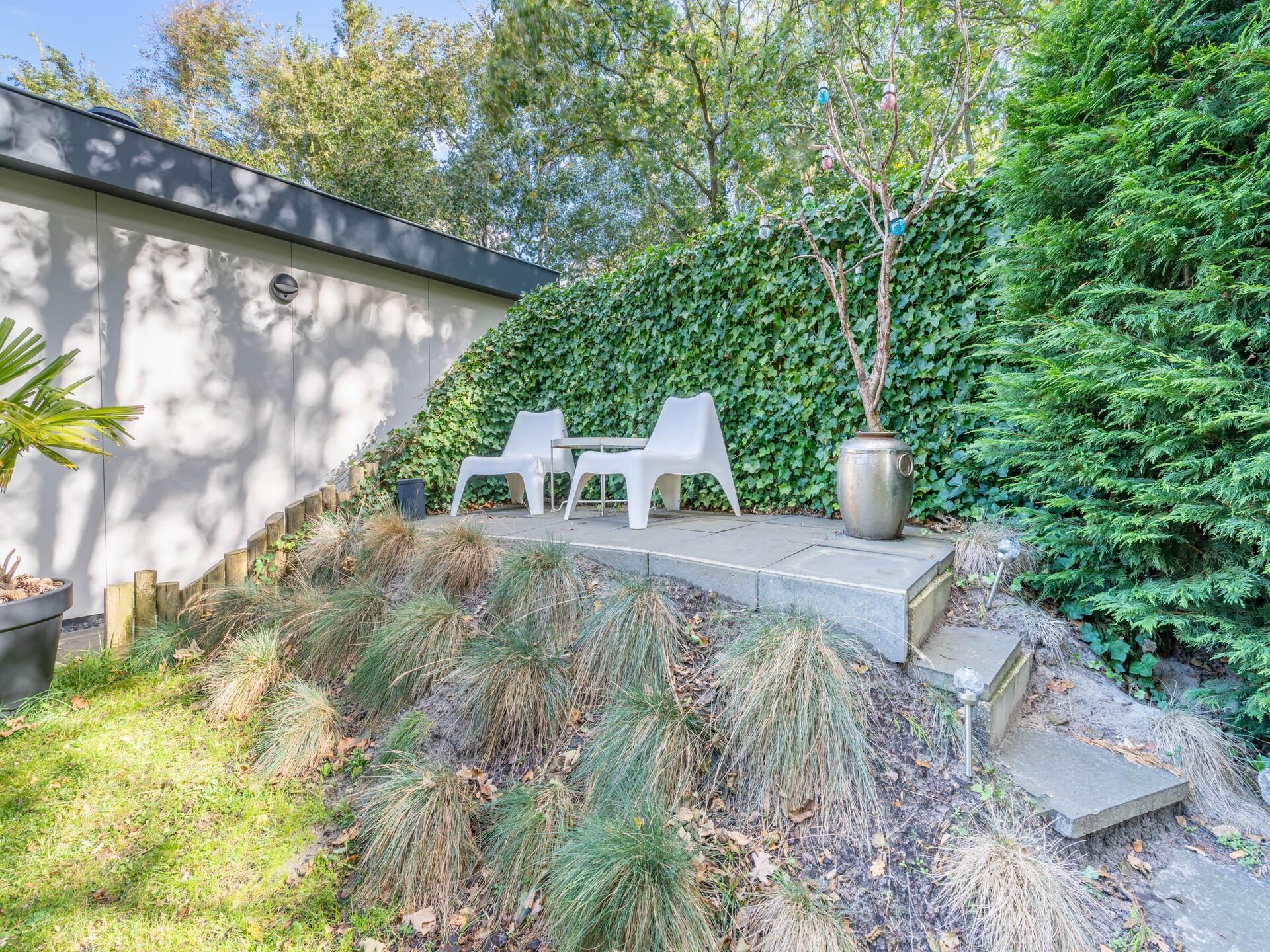Vrijstaande bosbungalow voor 6 personen met omheinde tuin en oplaadpunt - foto 31