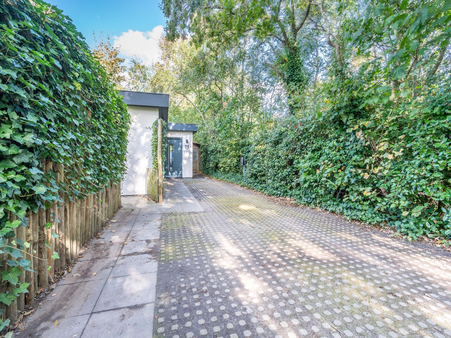 Vrijstaande bosbungalow voor 6 personen met omheinde tuin en oplaadpunt - foto 24