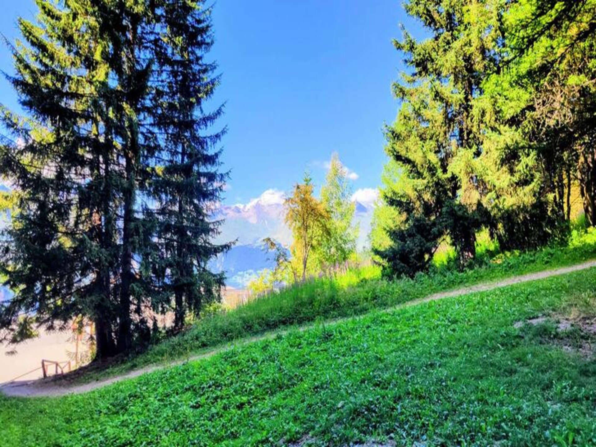 Appartement 48m² met uitzicht op Mont Blanc, ski-in/ski-out bij Paradiski - foto 20