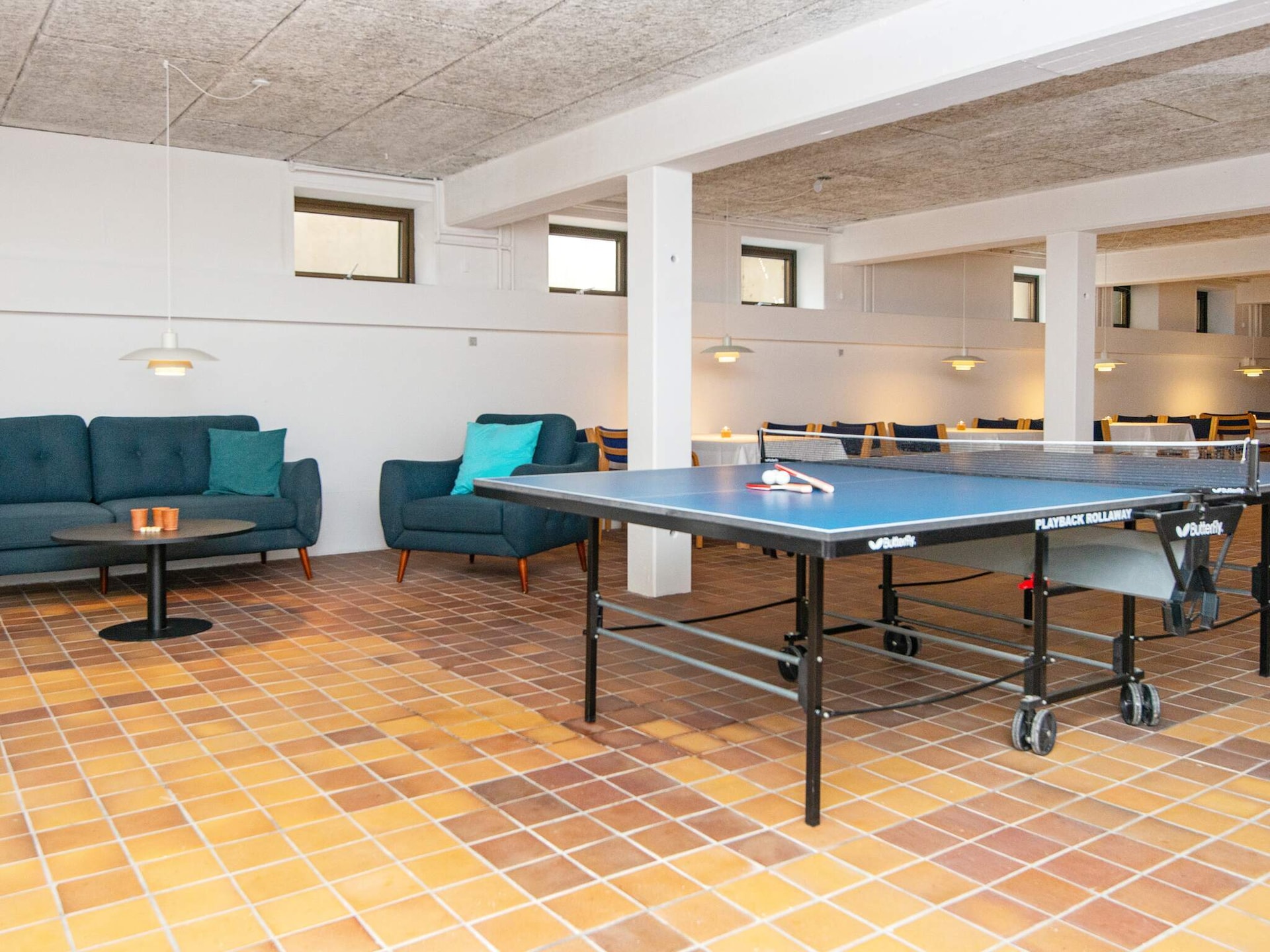 Premium vakantiehuis met duinuitzicht op 400m van de Noordzee, 10 pers. - foto 29
