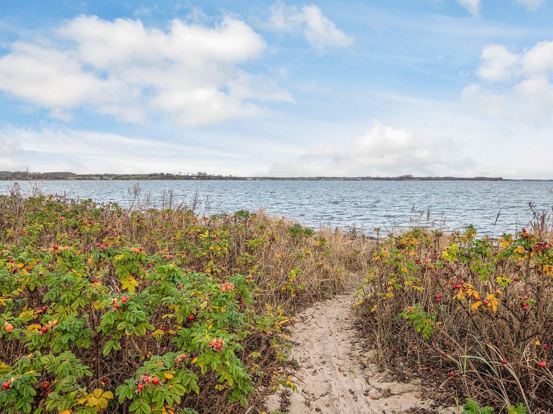 8-persoons vakantiehuis aan het strand in Sjølund - foto 29