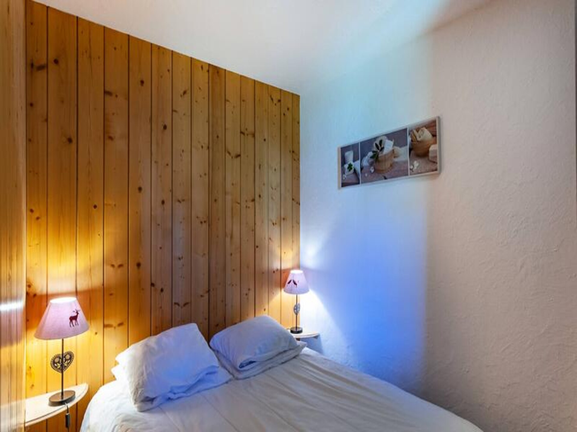 Rustiek appartement aan het Tuedameer, vlakbij de pistes van Méribel Mottaret - foto 9