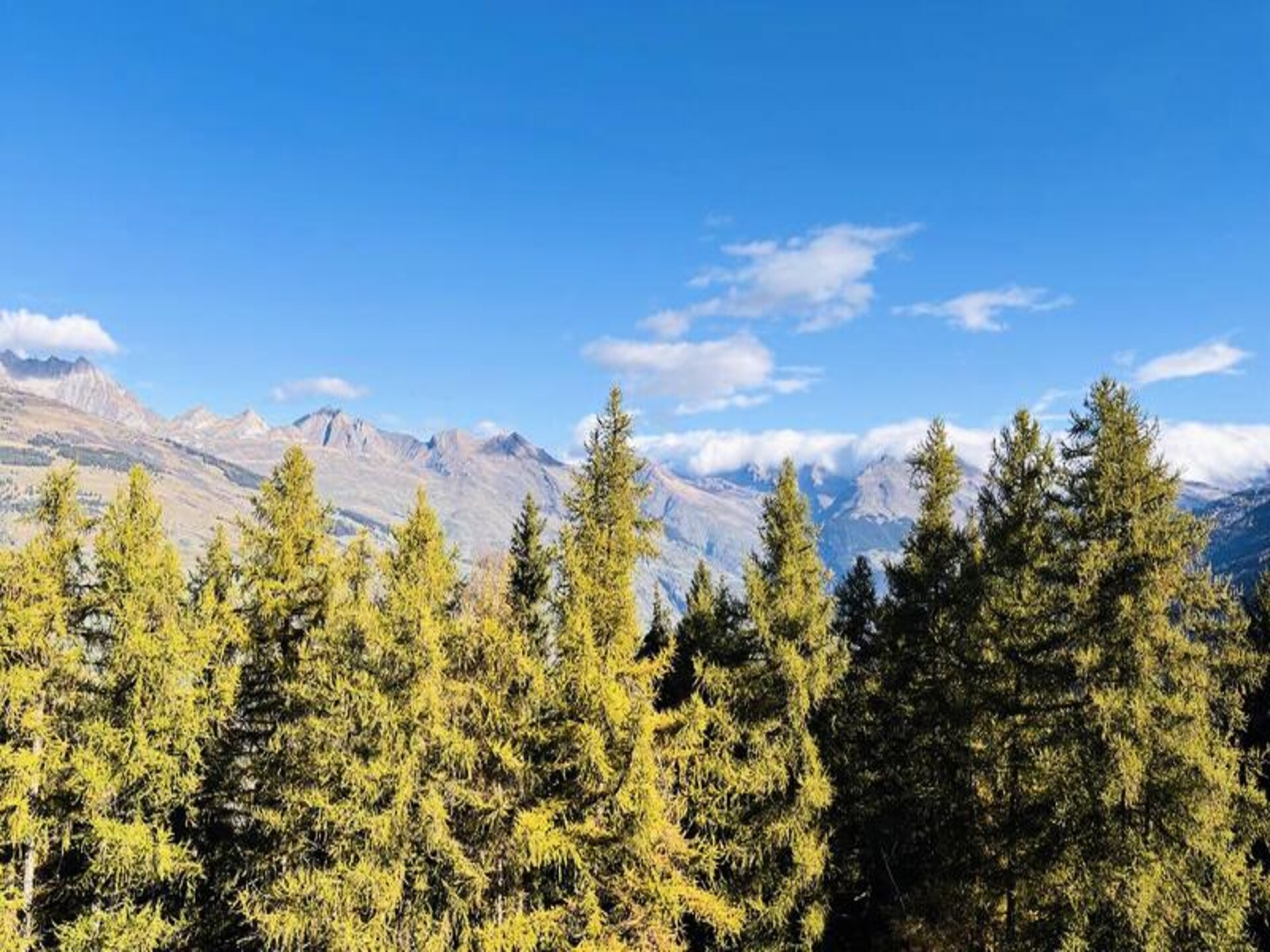 Duplex appartement met Mont Blanc uitzicht, 200m van de piste in La Plagne - foto 15