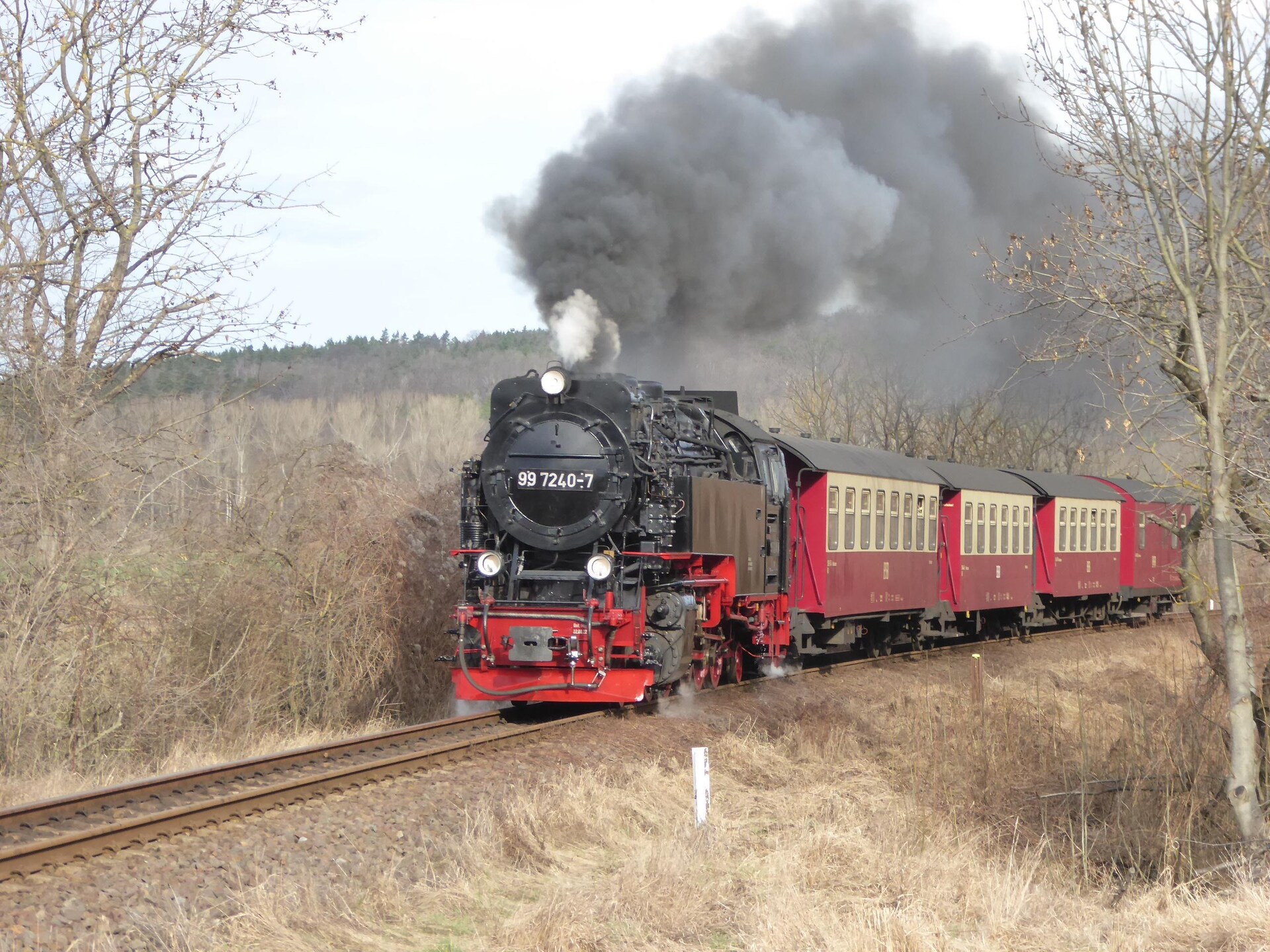 Vrijstaand vakantiehuis met uitzicht op de Harz bij Thale - foto 32