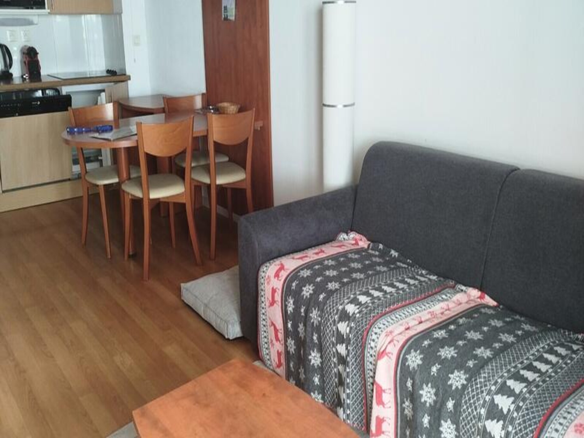 Appartement op 1049m met zwembad, vlakbij de pistes van La Mongie - foto 1