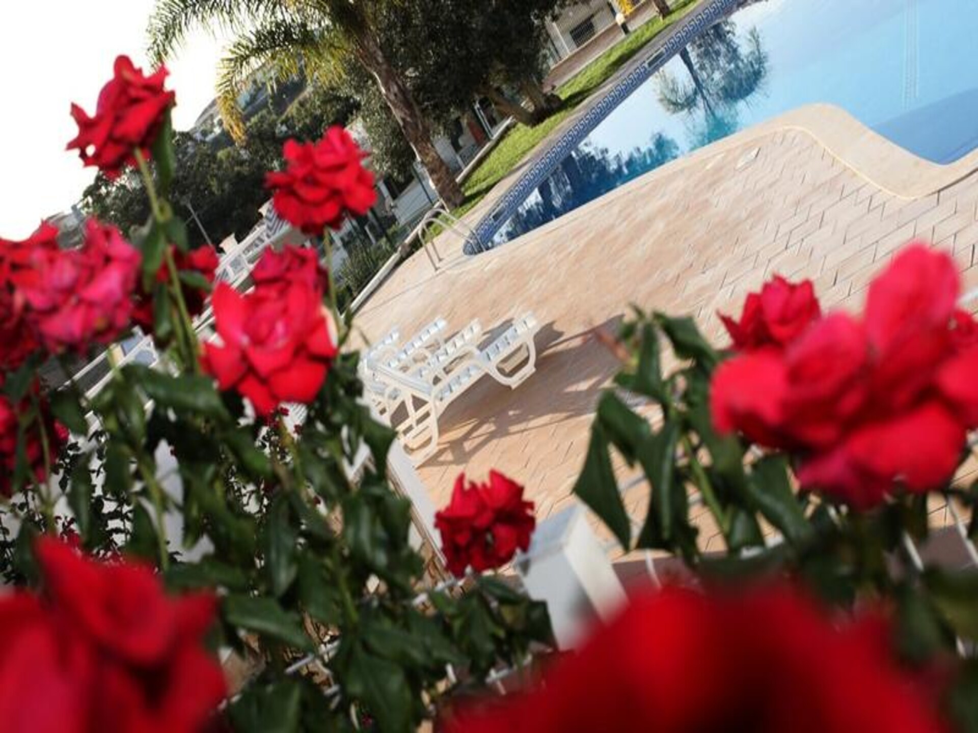 Luxe appartement op loopafstand van historisch Albufeira en strand - foto 10