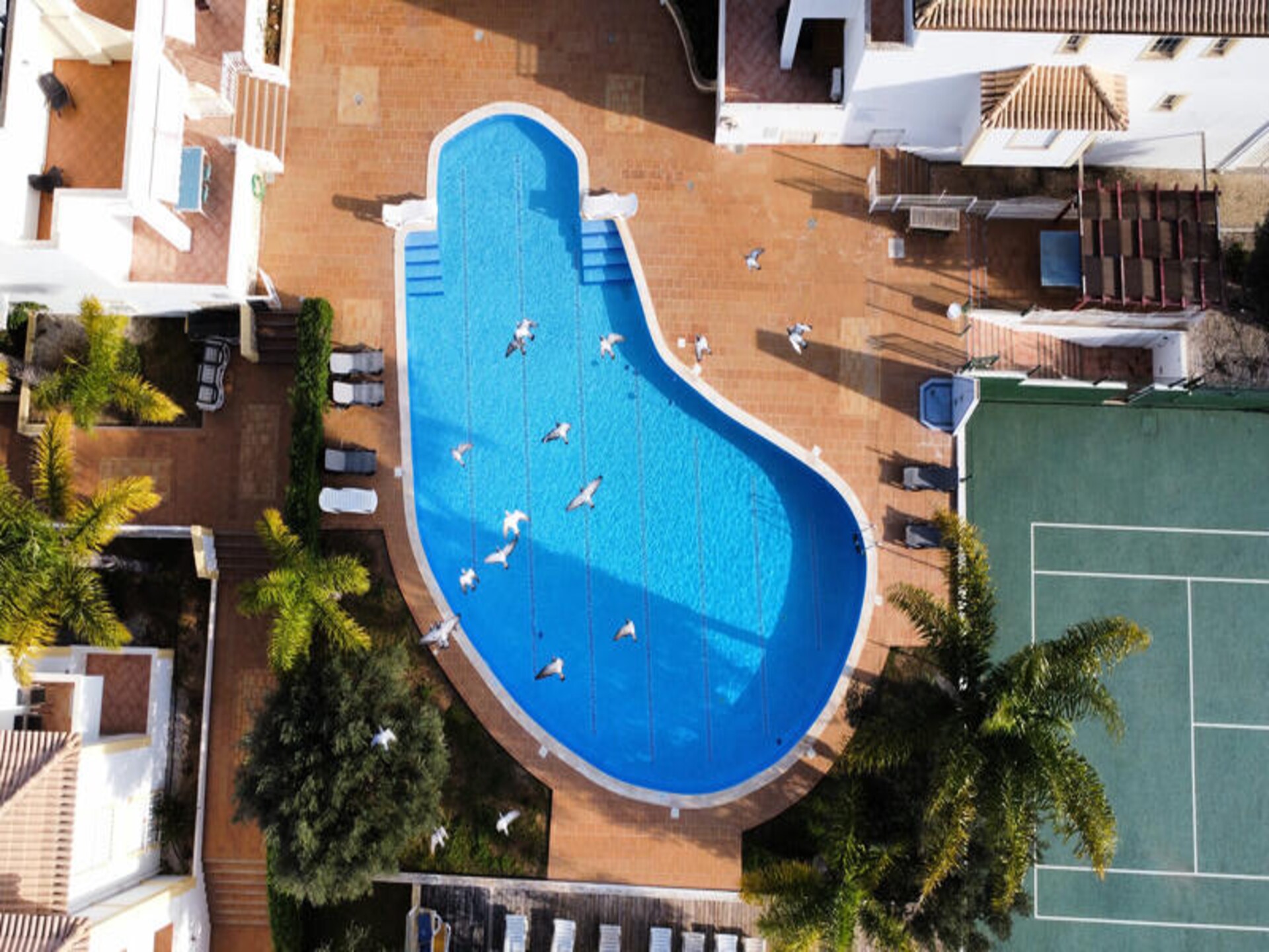 Zonovergoten appartement met zwembad op 15 minuten lopen van centrum Albufeira - foto 1