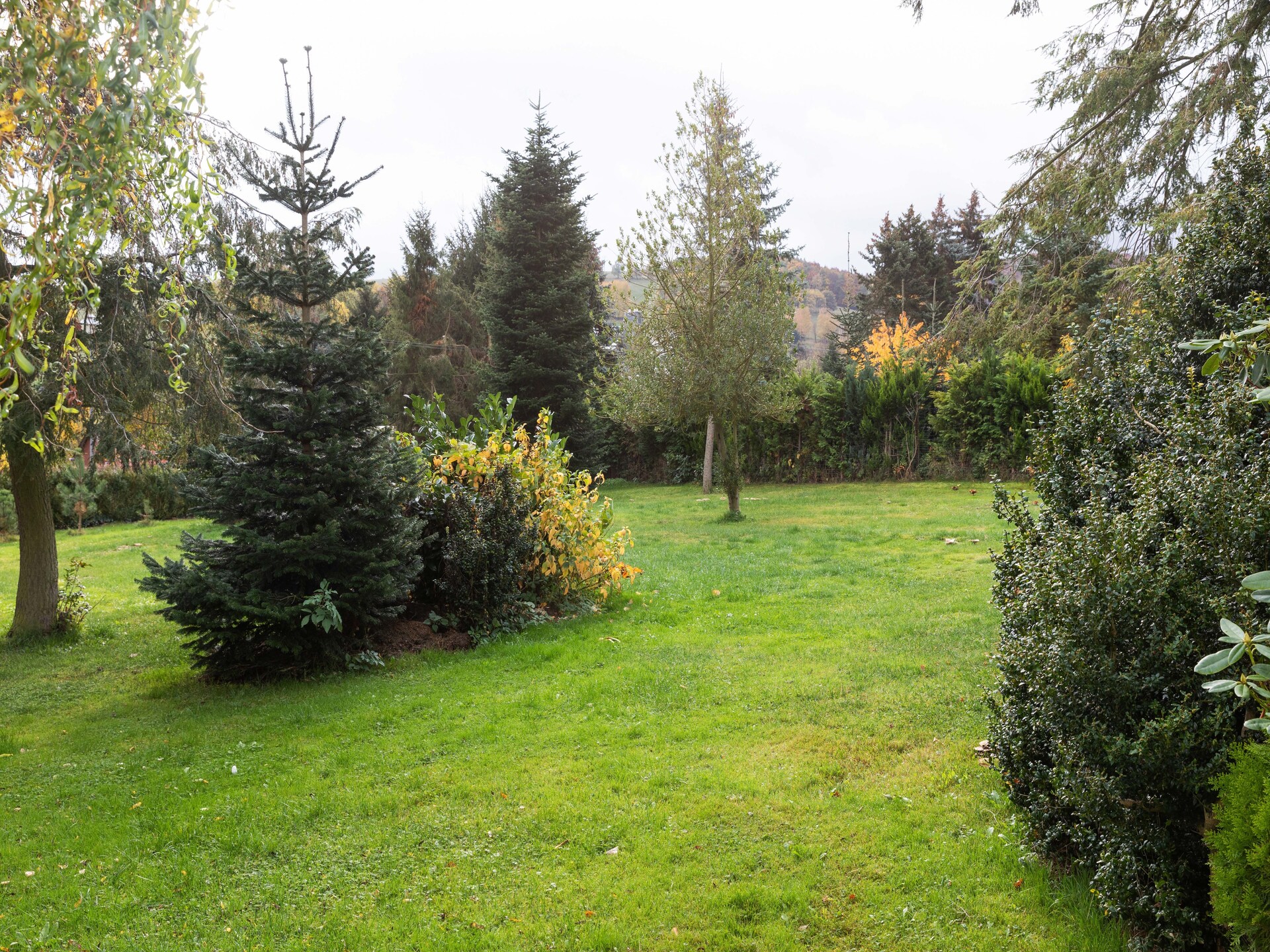 Vrijstaand boshuis voor 4 personen met tuin bij de Rennsteig - foto 27