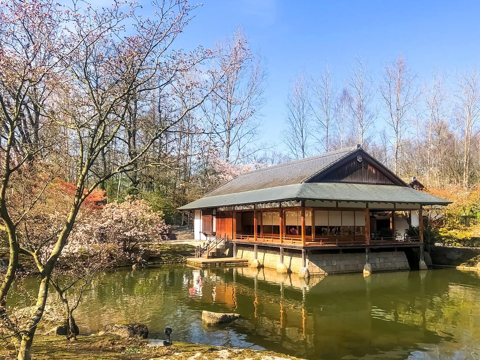 12-persoons designvakantiehuis in hartje Hasselt - foto 38