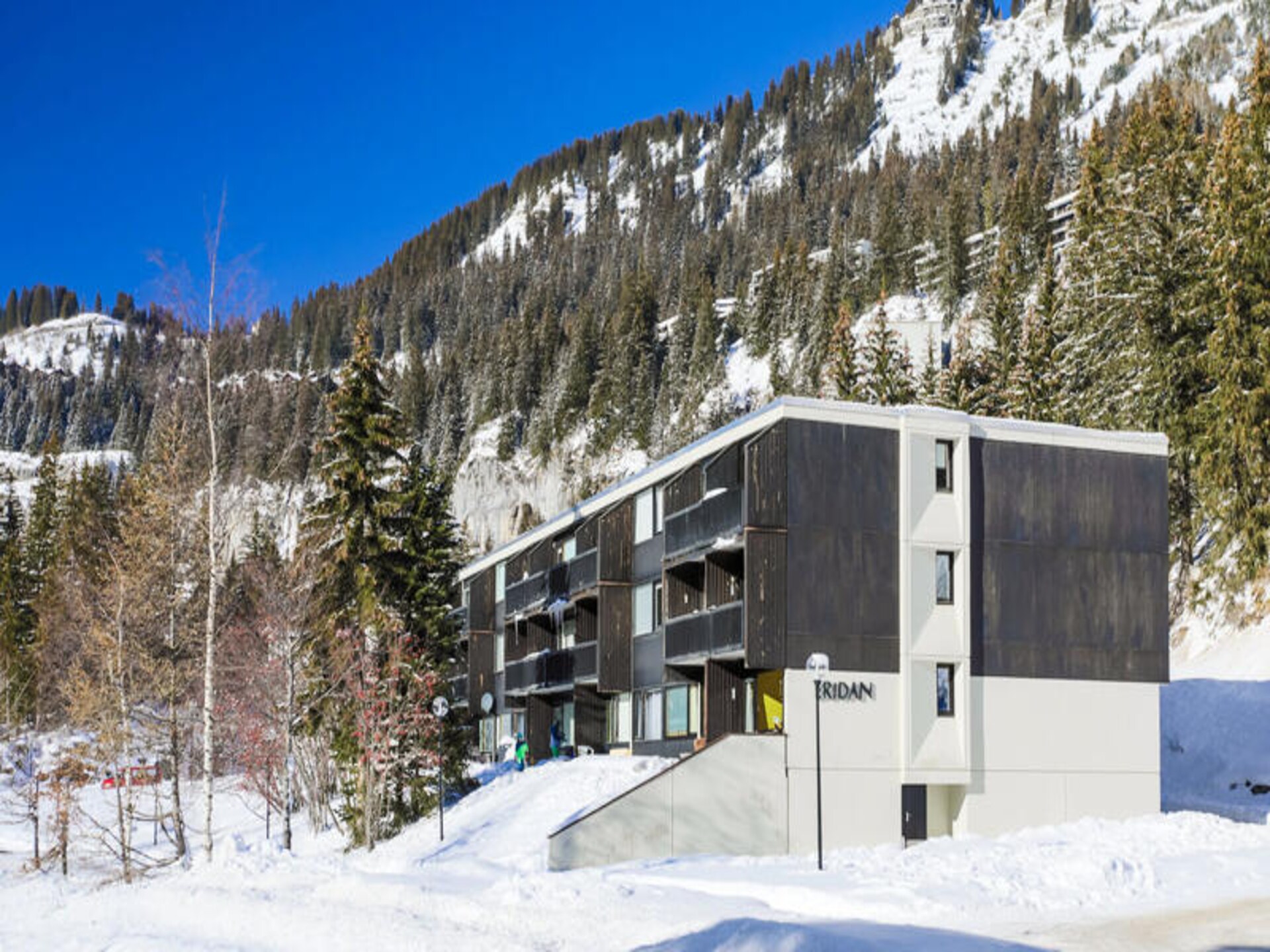 Ruim 10-persoons appartement op 100m van de piste in Flaine - foto 1