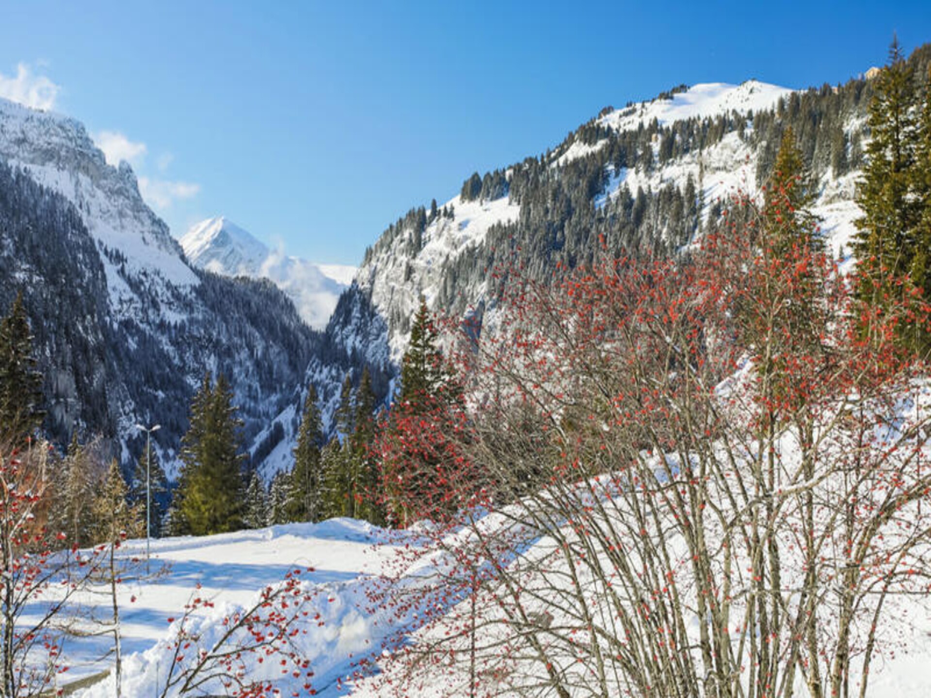 Ruim 10-persoons appartement op 100m van de piste in Flaine - foto 6