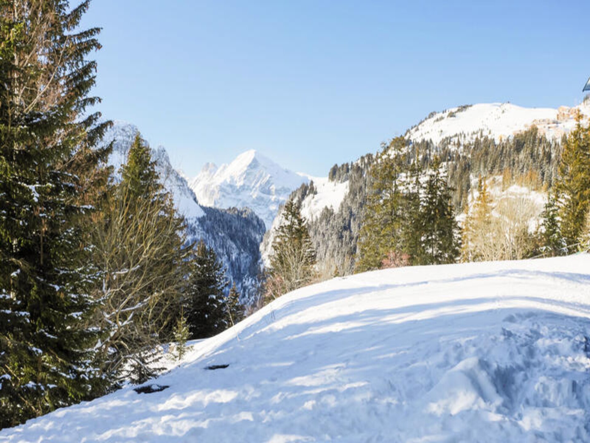 Appartement 6 personen in Flaine Forêt, vlakbij de pistes en het centrum - foto 20