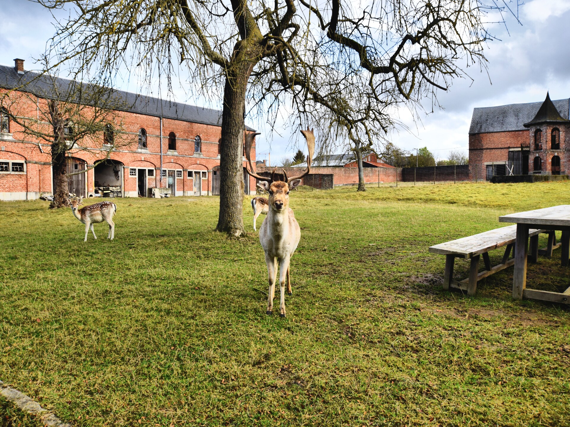 Landhuis Delhaise: Ruim toevluchtsoord voor 25 personen in Mesnil-Saint-Blaise - foto 26