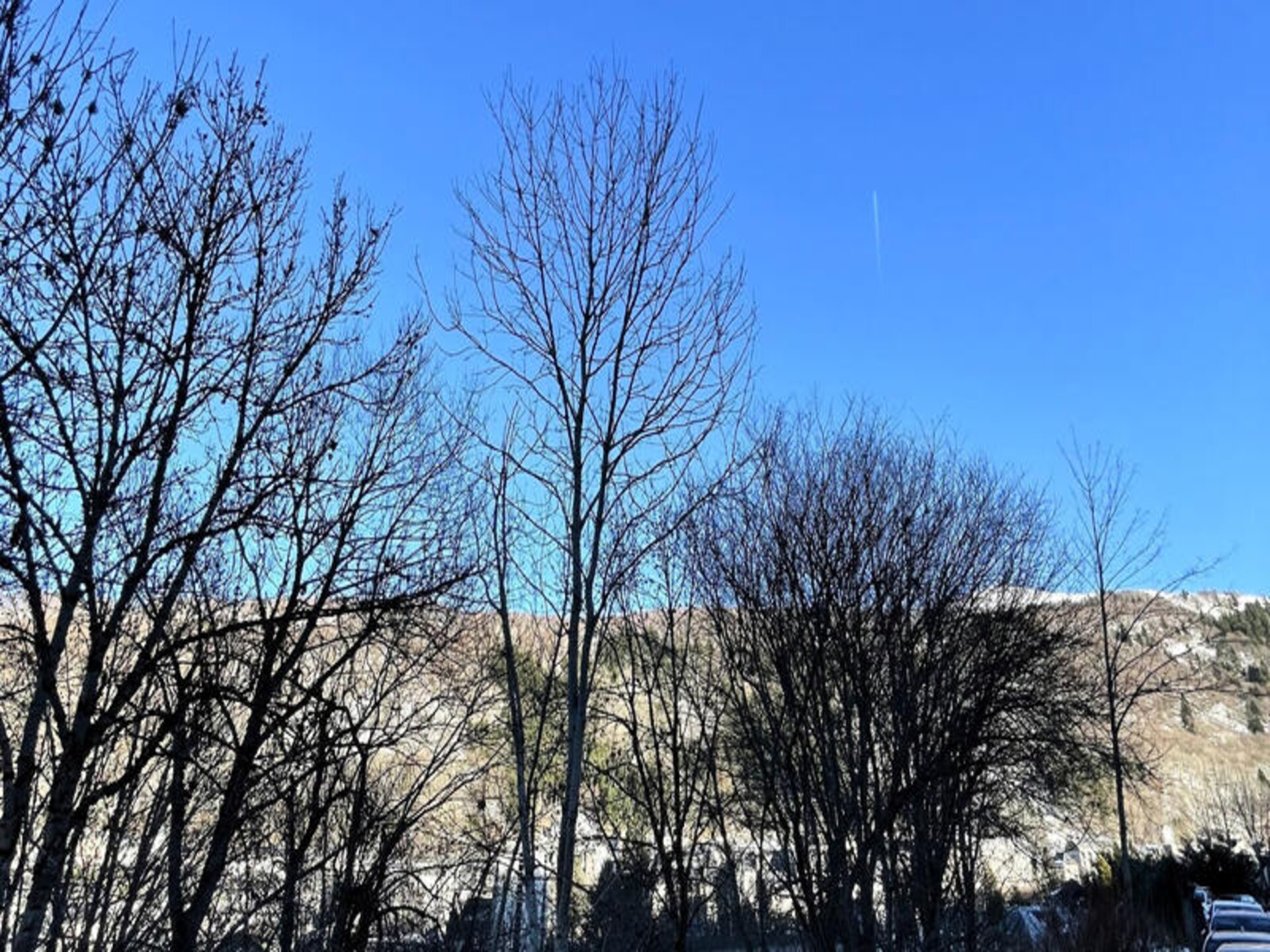 Knus appartement voor 4 personen in Mont-Dore, op 500m van centrum - foto 15