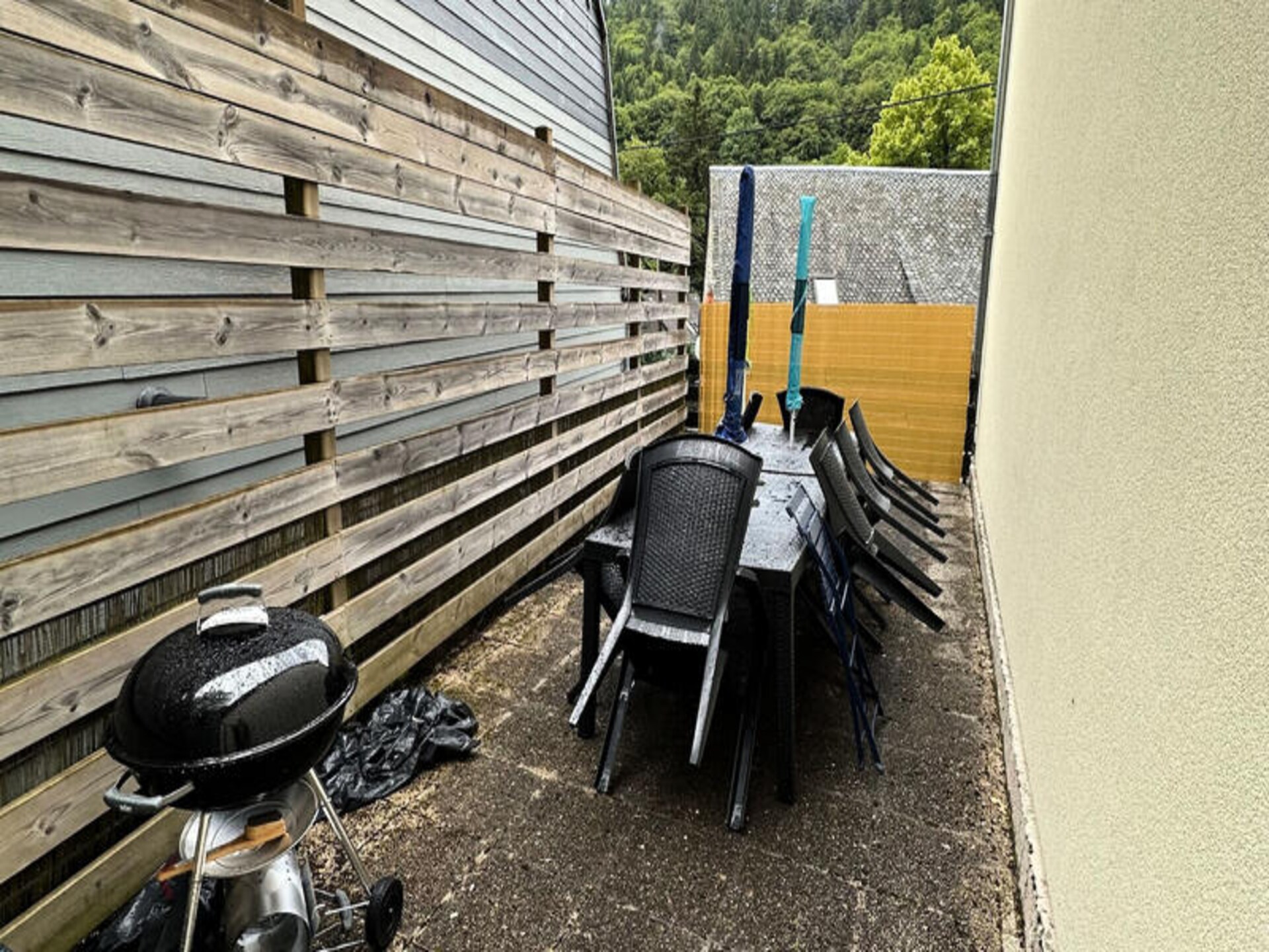 Ruim appartement voor 11 personen met tuin en garage in Mont-Dore - foto 31