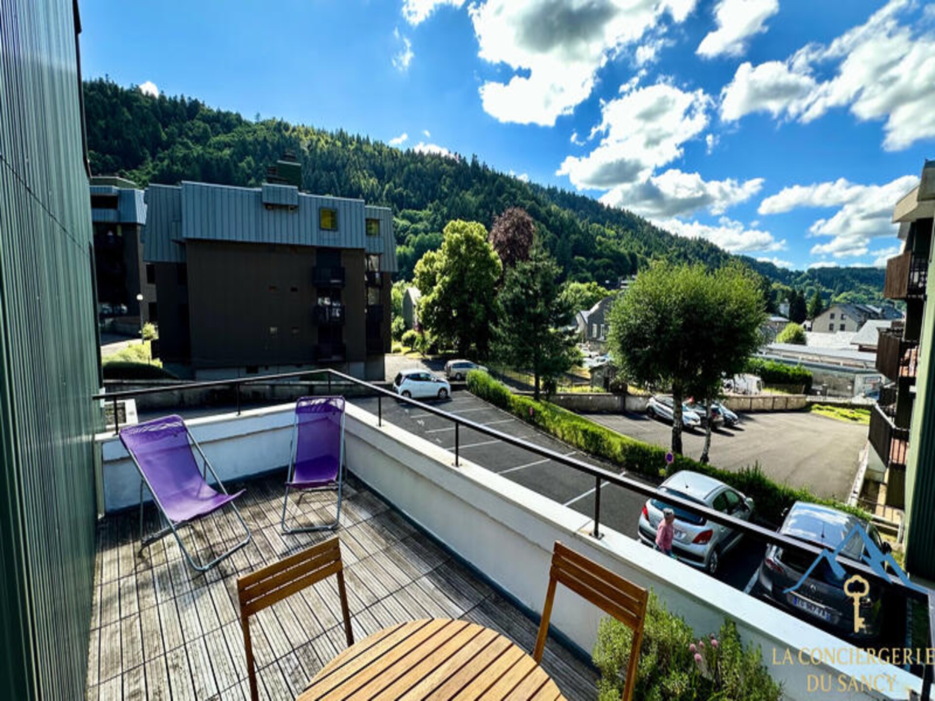 Panoramisch appartement 65m² met terras aan de voet van het Sancy-massief - foto 12