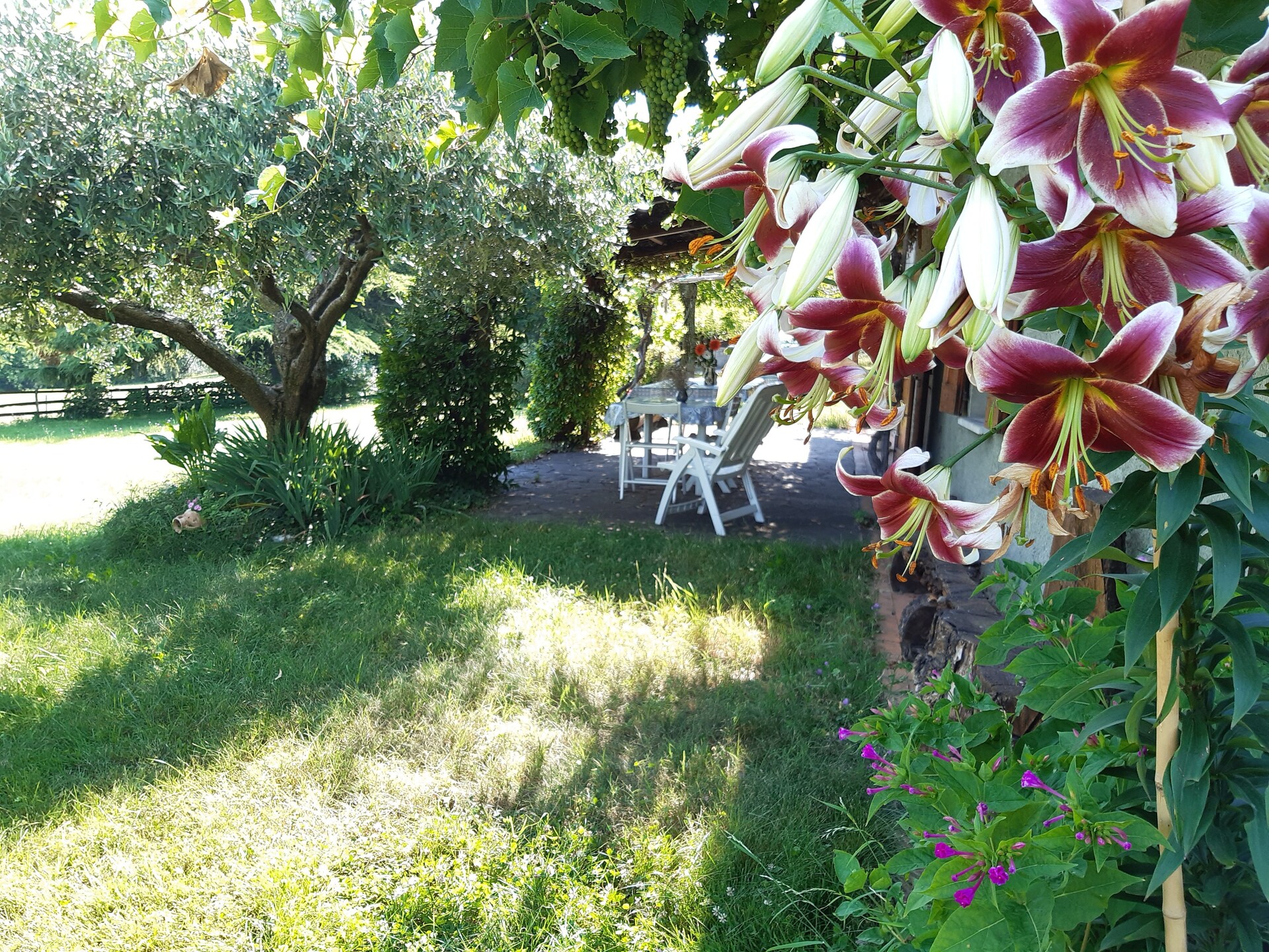 Landhuis voor 10 personen met grote tuin aan de bossen van Crespano del Grappa - foto 27