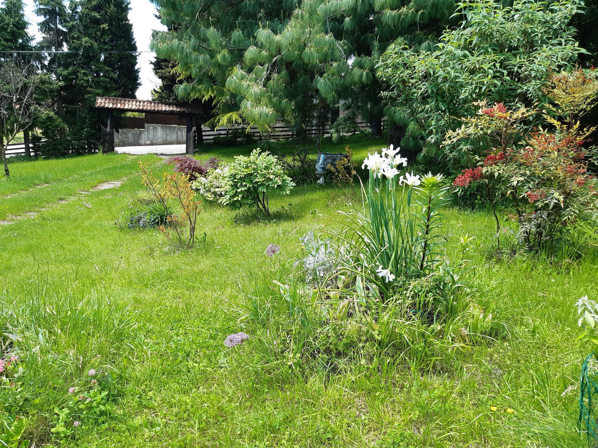 Landhuis voor 10 personen met grote tuin aan de bossen van Crespano del Grappa - foto 29