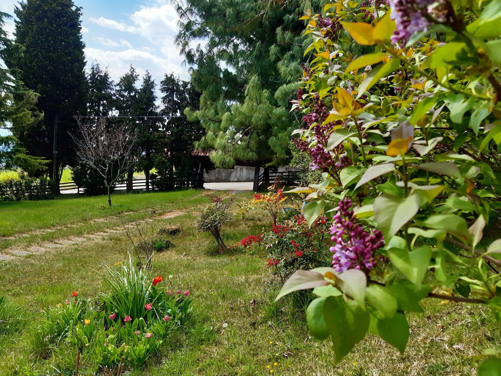 Landhuis voor 10 personen met grote tuin aan de bossen van Crespano del Grappa - foto 30