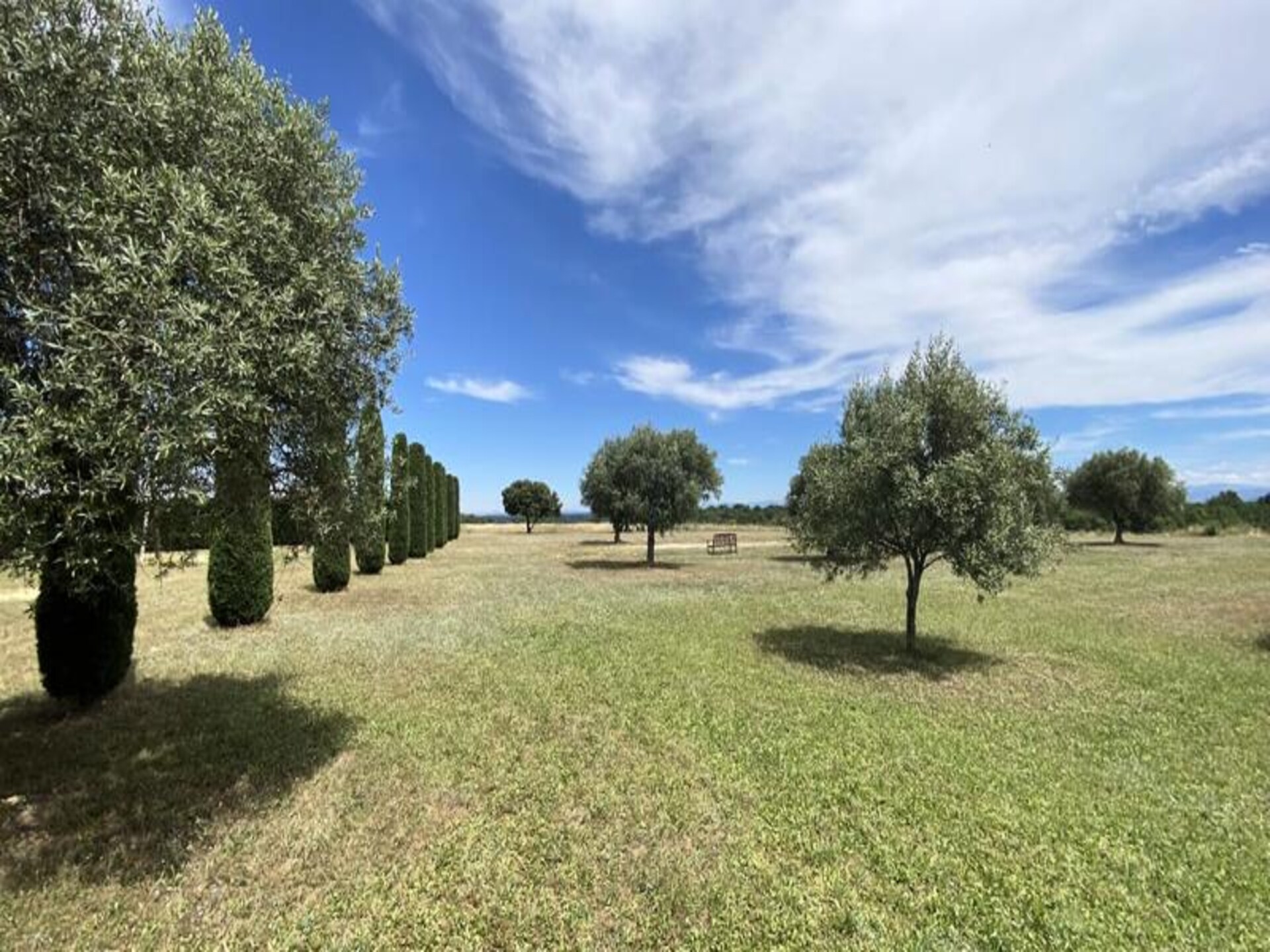 Ruim appartement op lavendeldomein bij Valensole, 6 personen - foto 8
