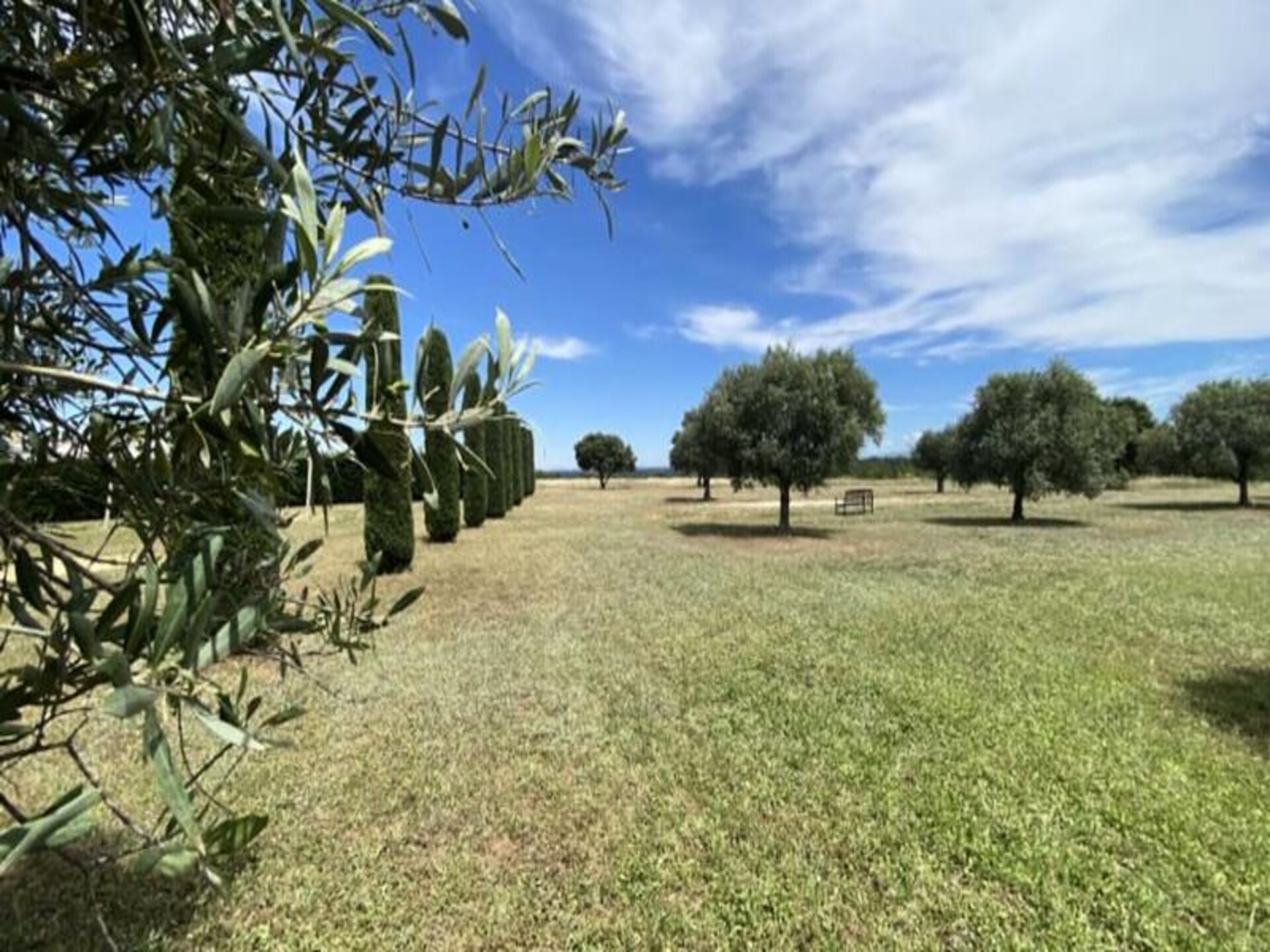 Studio in Provençaalse Mas met zwembad bij lavendelvelden Valensole - foto 22