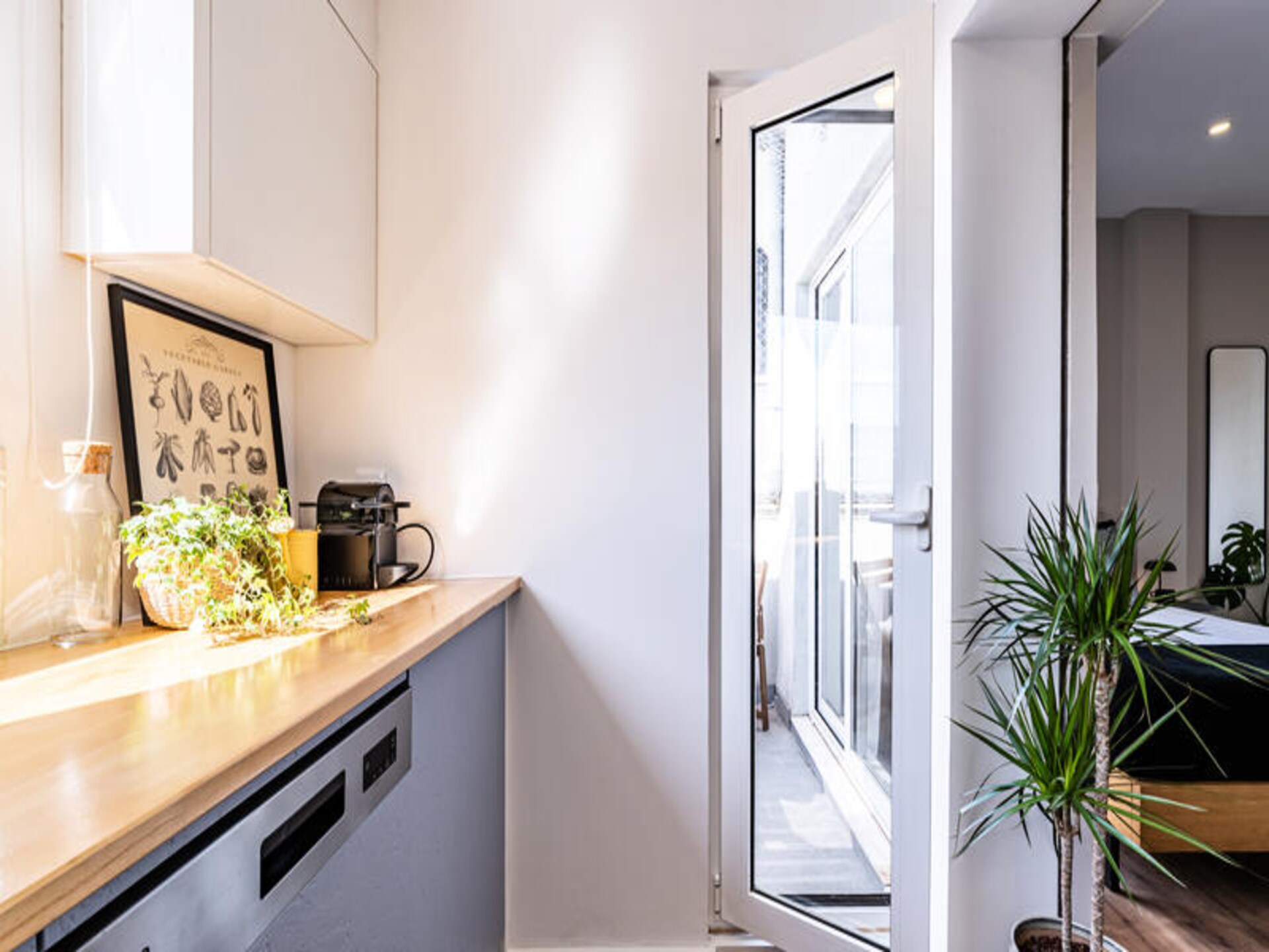 Lichtrijke studio met terras in het bruisende hart van Porto - foto 8