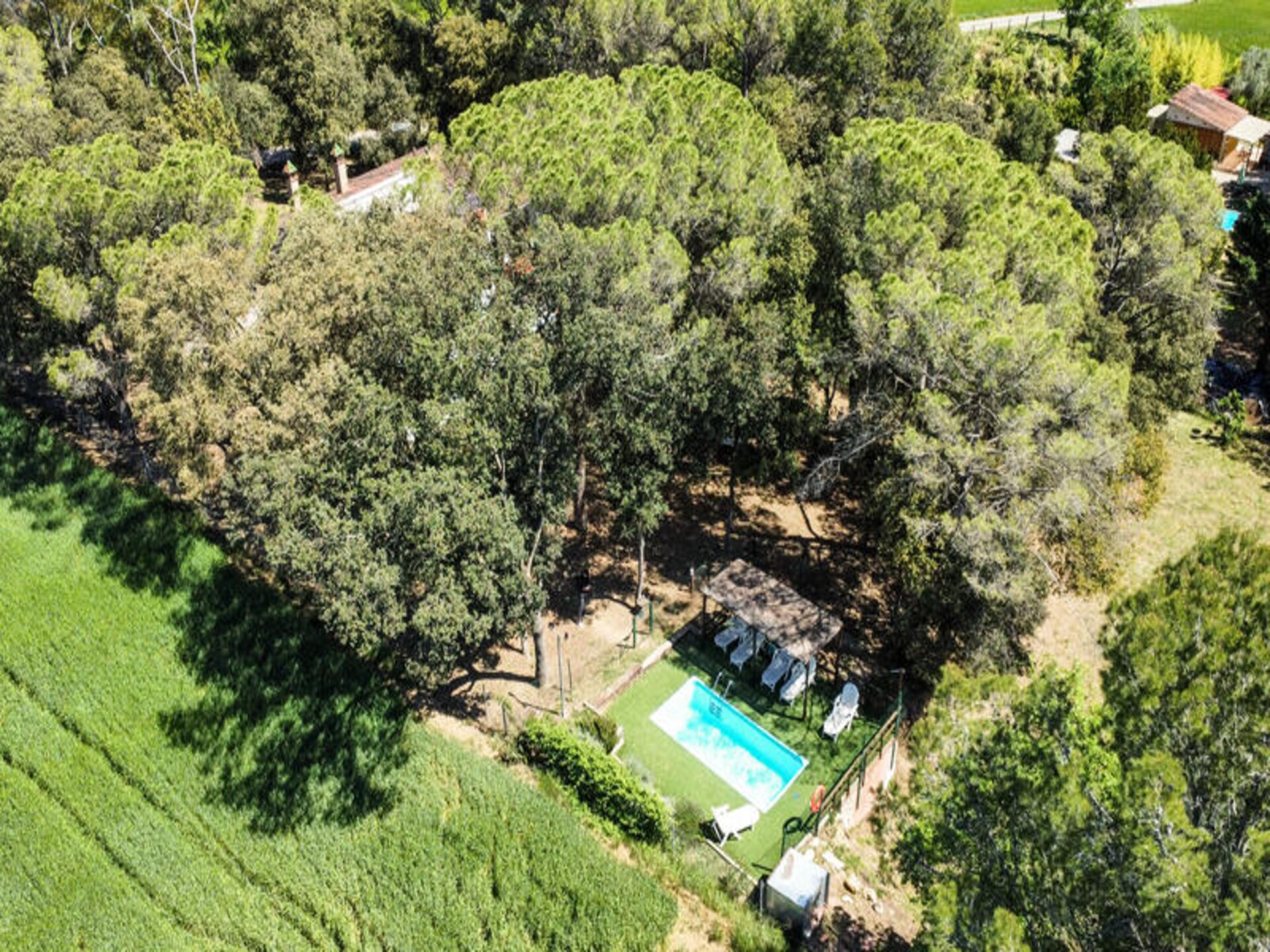 Landelijk appartement voor 6 met tuin en airco nabij Girona en Banyoles - foto 11
