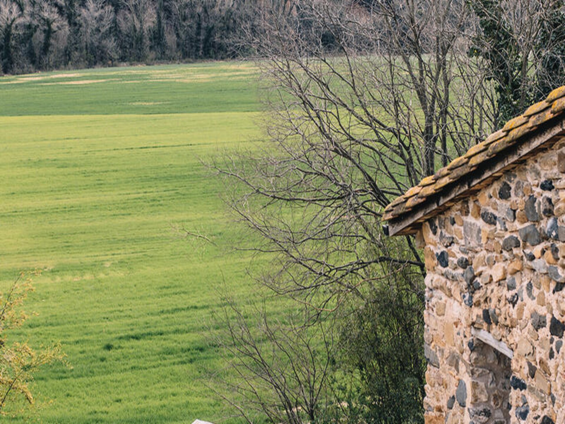 Can Riera de Montagut: Luxe 16e-eeuwse masia voor 16 personen in La Garrotxa - foto 93