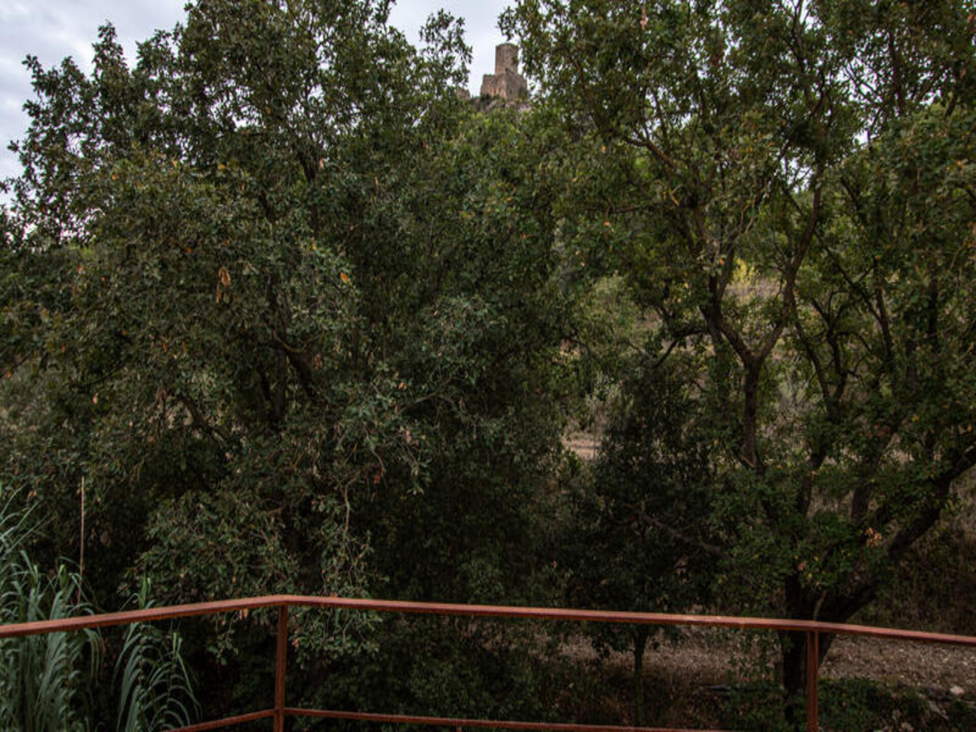 Ruim vakantiehuis voor 8 personen met privézwembad in Les Escaules, Girona - foto 75