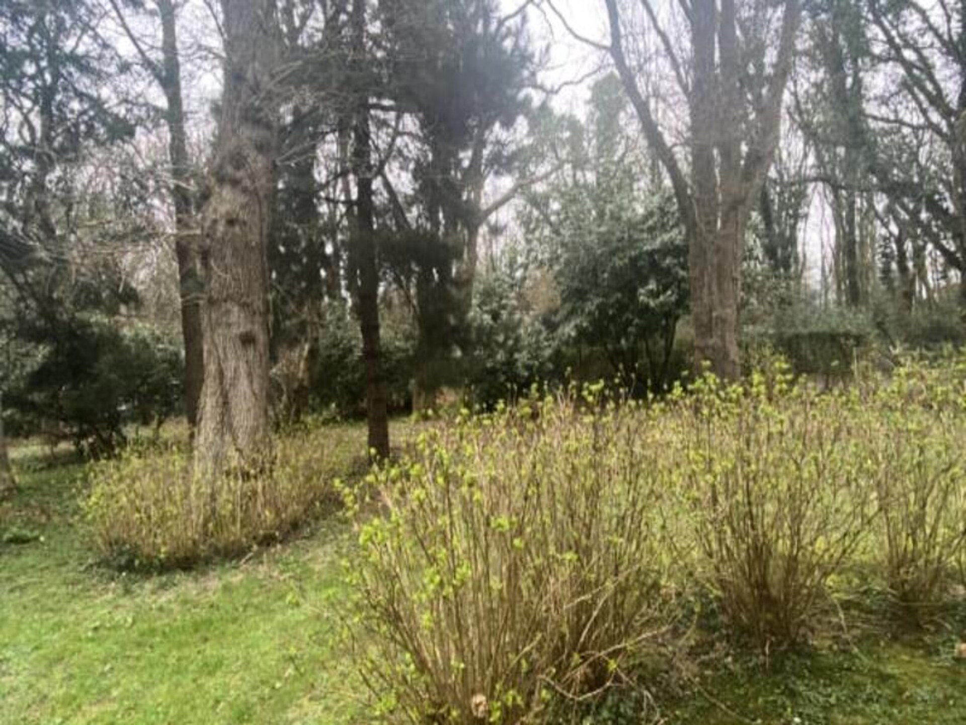 Vrijstaand vakantiehuis met enorme tuin, 15 minuten van strand Ault - foto 40