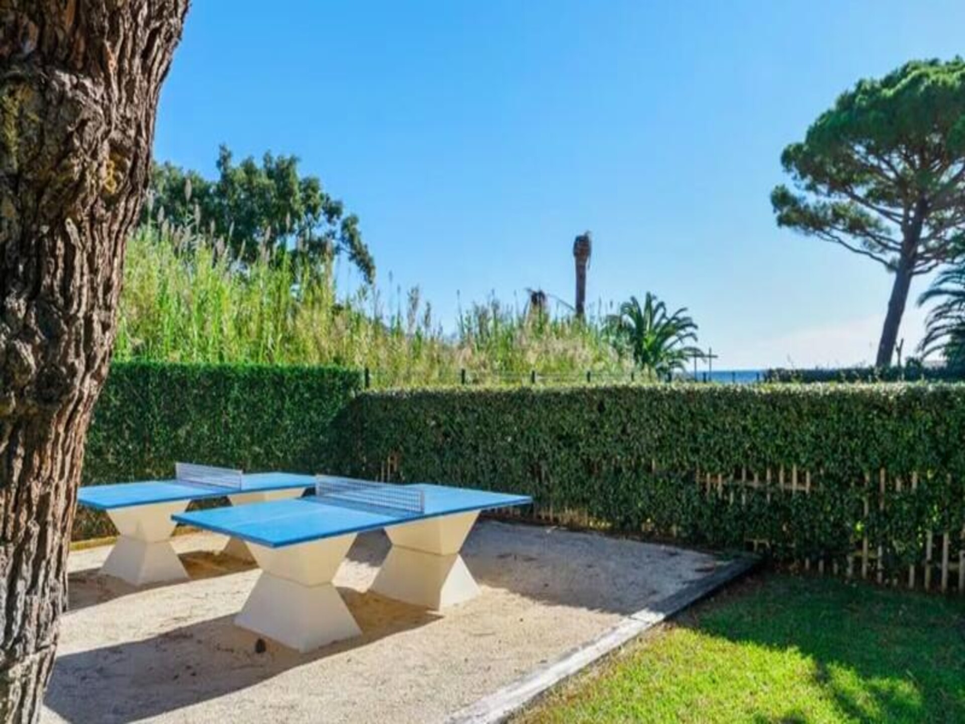 T2 appartement met zeezicht direct aan strand Pramousquier, Le Lavandou - foto 11