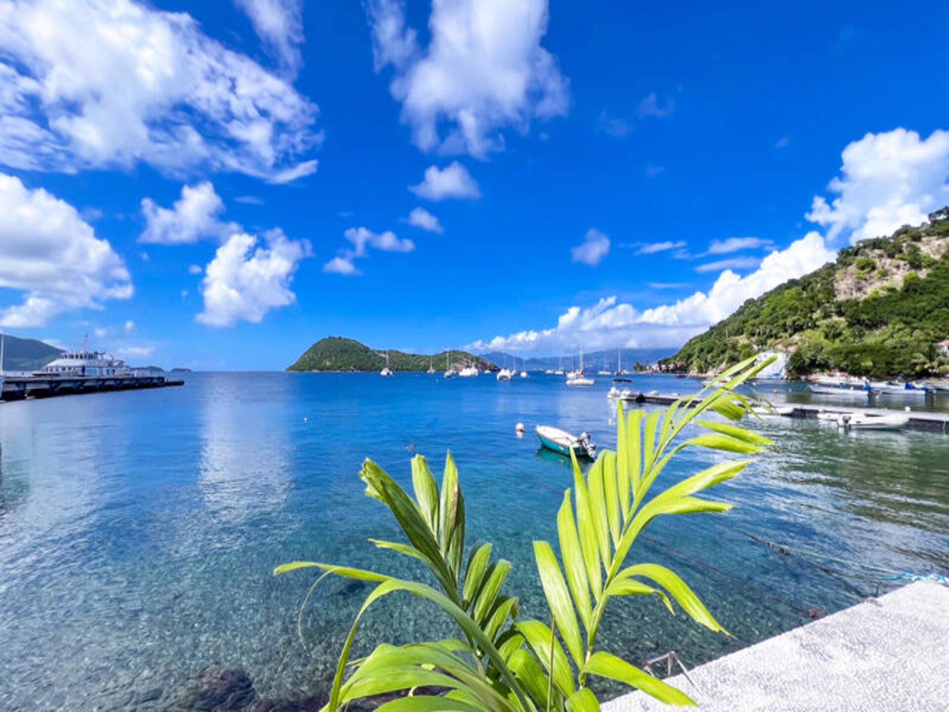 Villa La Perle des Saintes: luxe appartement aan het water op Terre-de-Haut - foto 13
