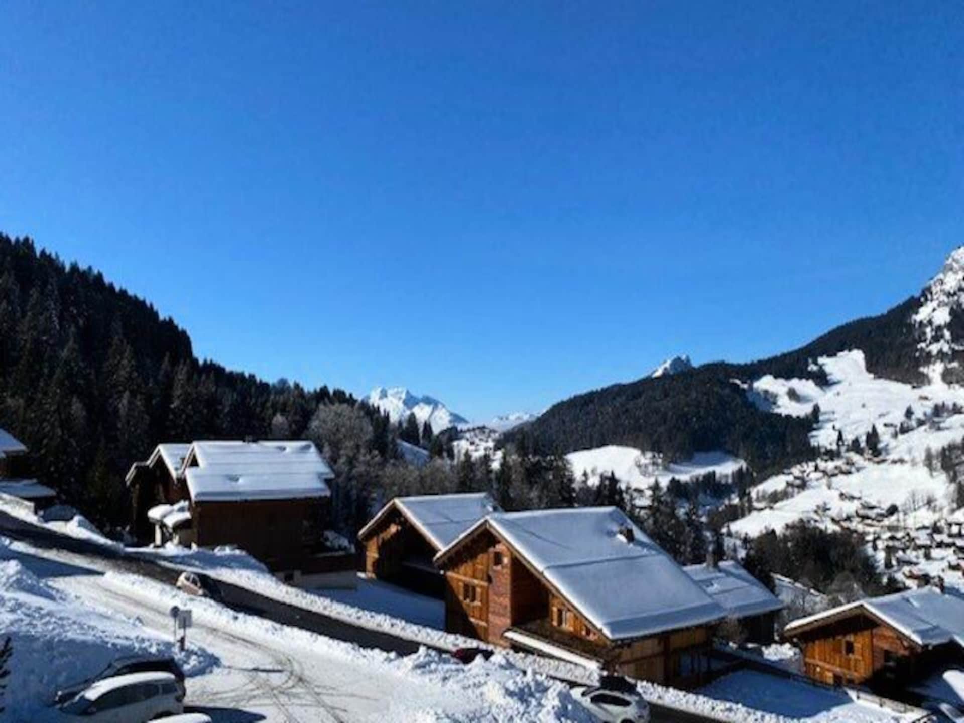 Knus appartement Le Grand Bornand: ski-in/ski-out, uitzicht op de Alpen - foto 15
