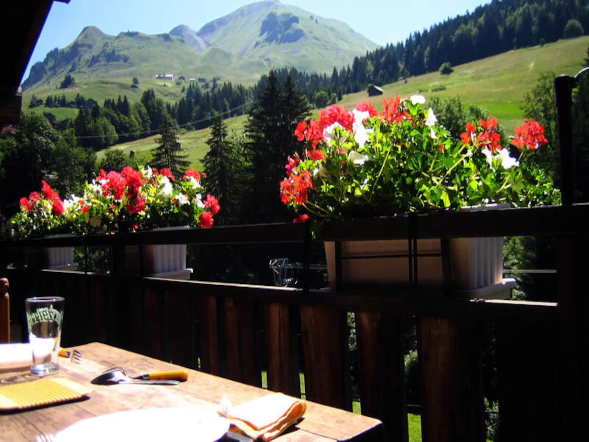 Chalet Saint Olivier: Ruim chalet voor 12 personen met uitzicht op de Aravisvallei - foto 16