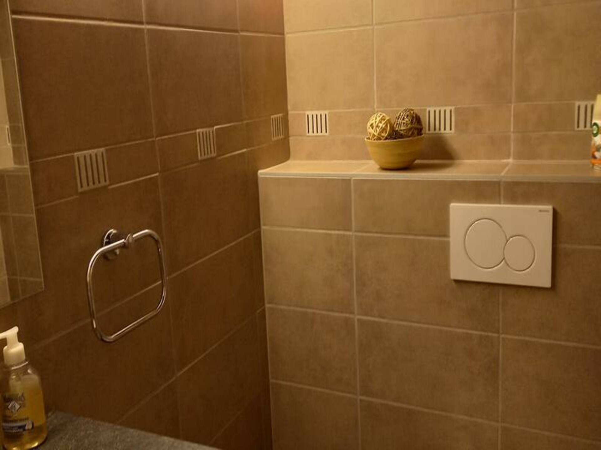 Résidence Fleur Des Alpes 8: Ruim appartement voor 12 in Grand-Bornand - foto 8