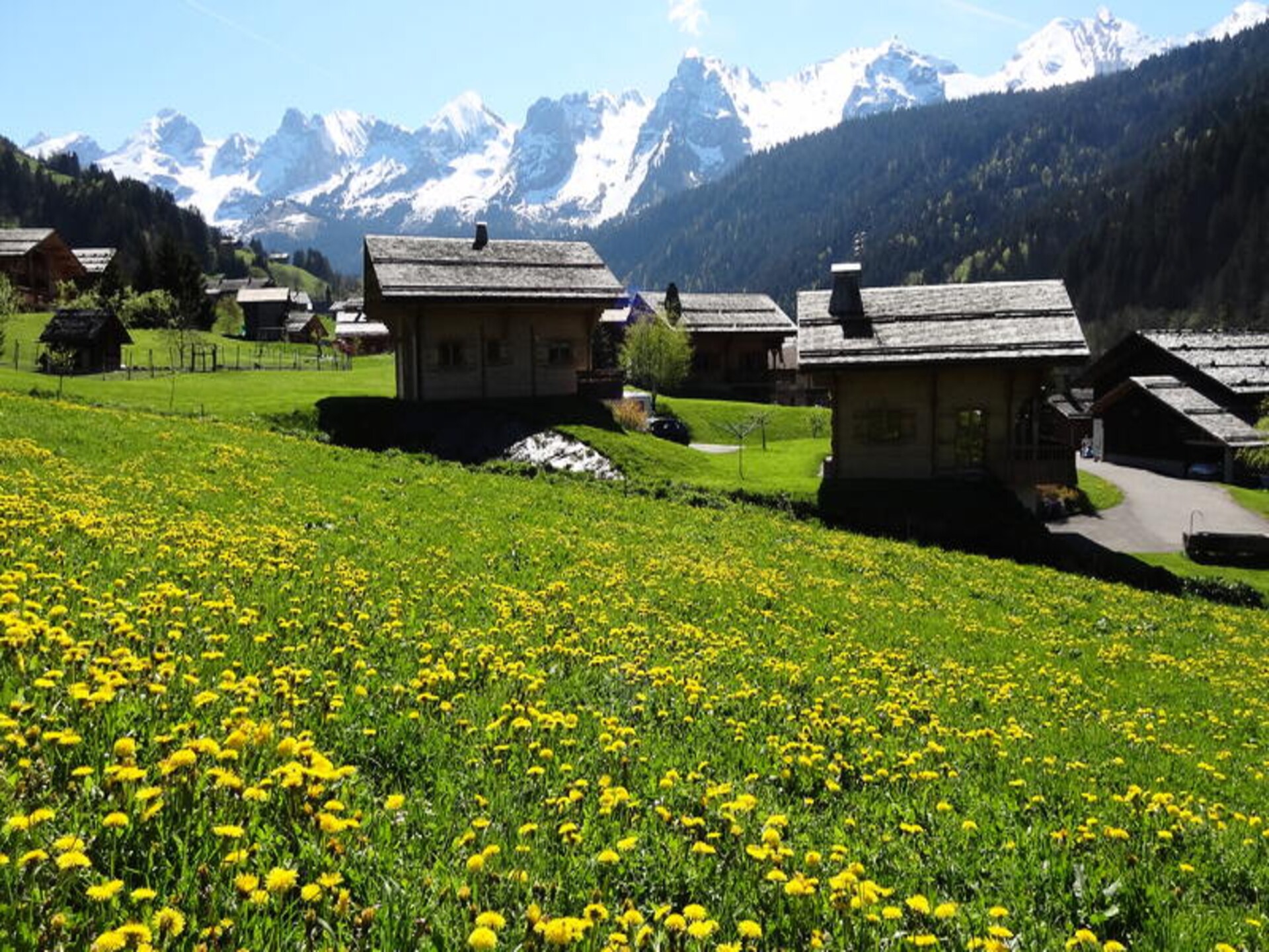 Chalet Pointe Percée: Ruim chalet voor 10 personen in de Bouchetvallei - foto 13