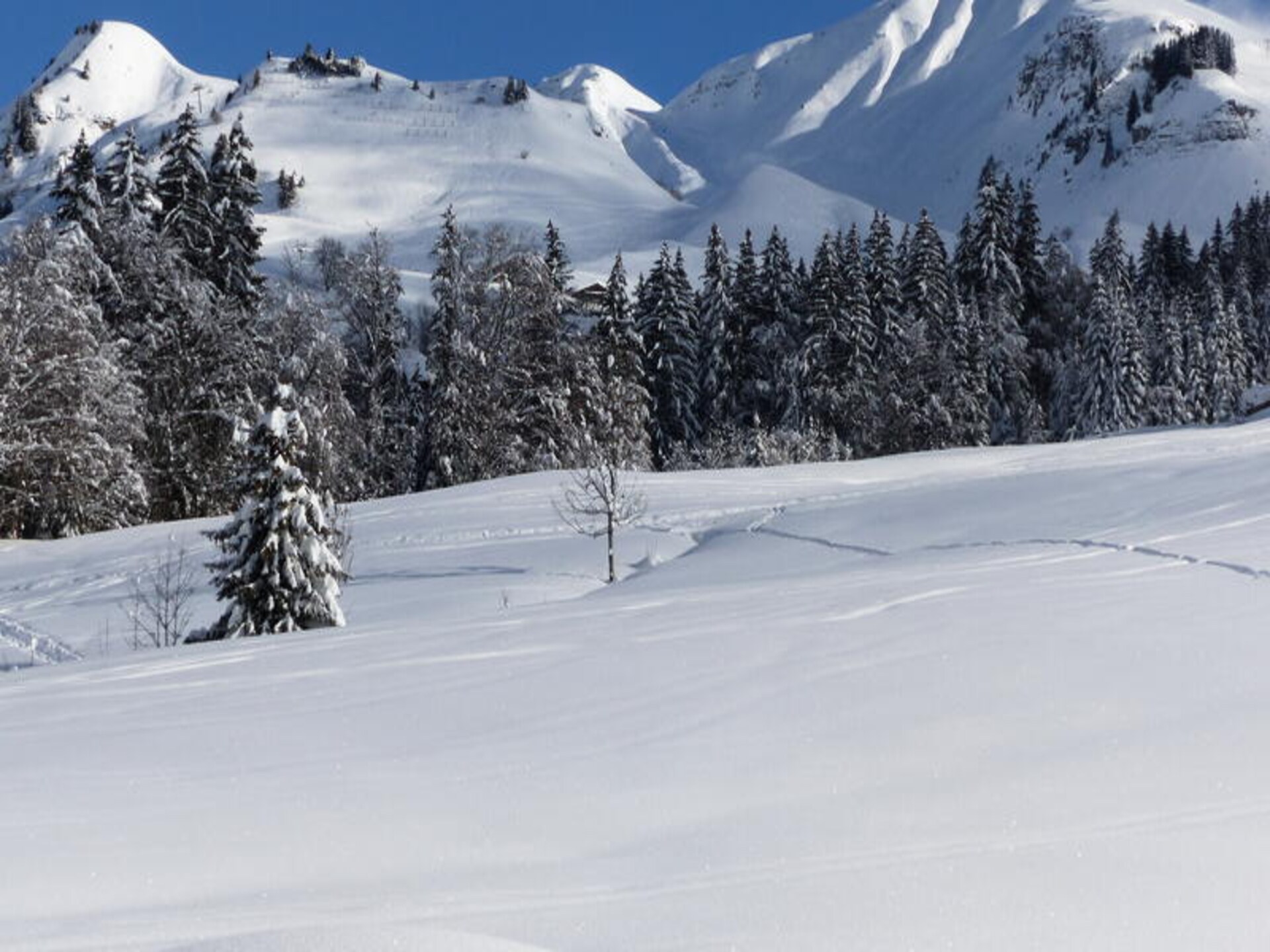 Authentiek chaletappartement voor 10 personen bij de pistes van Le Grand Bornand - foto 23