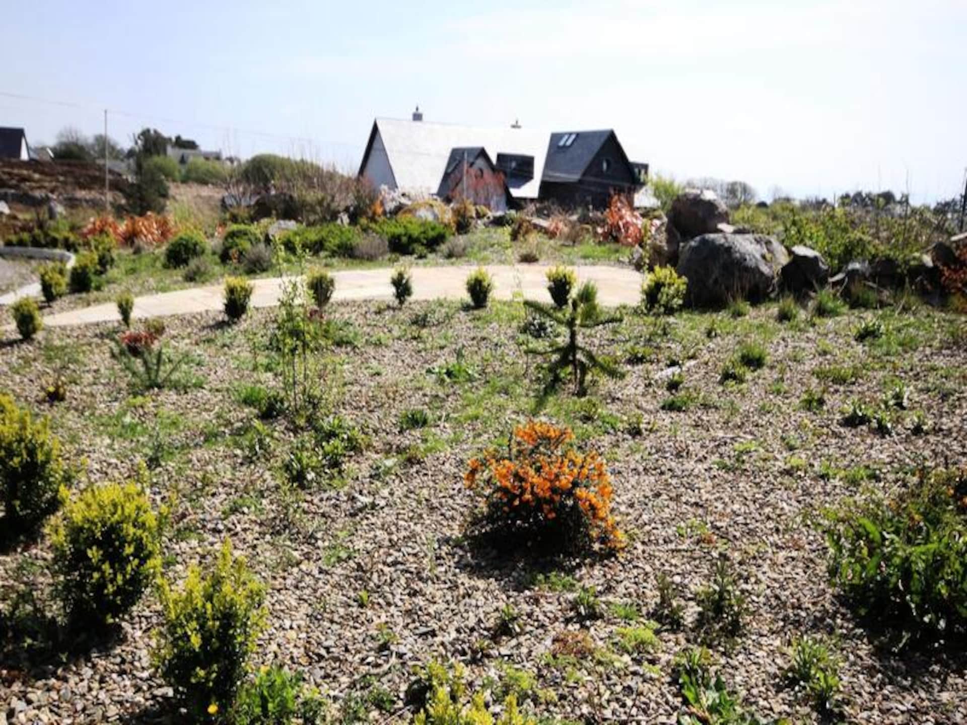 Ruim vakantiehuis voor 6 personen met tuin, vlakbij strand en Galway - foto 5
