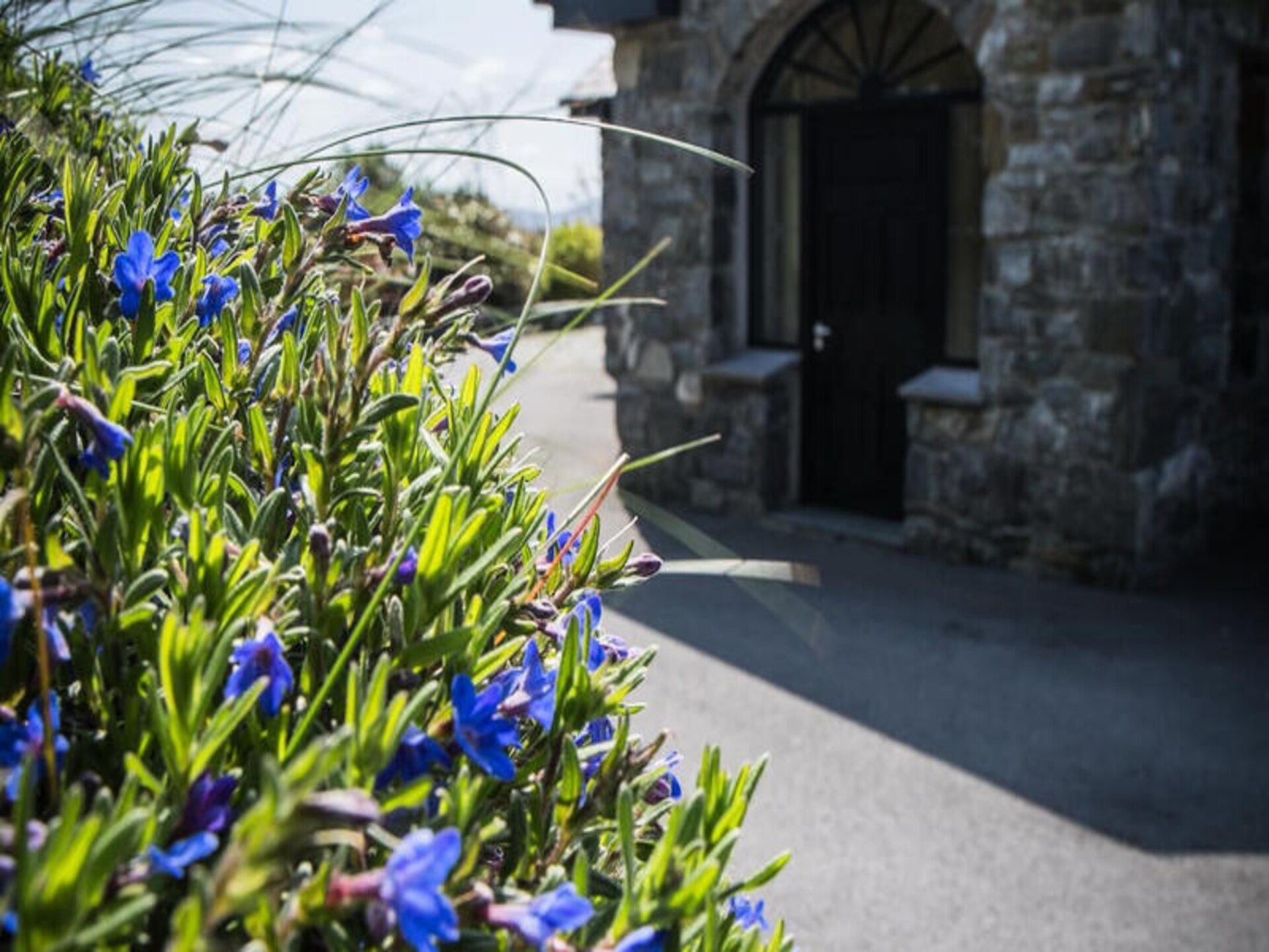 Ruim vakantiehuis voor 10 personen bij Clifden, Connemara - foto 36