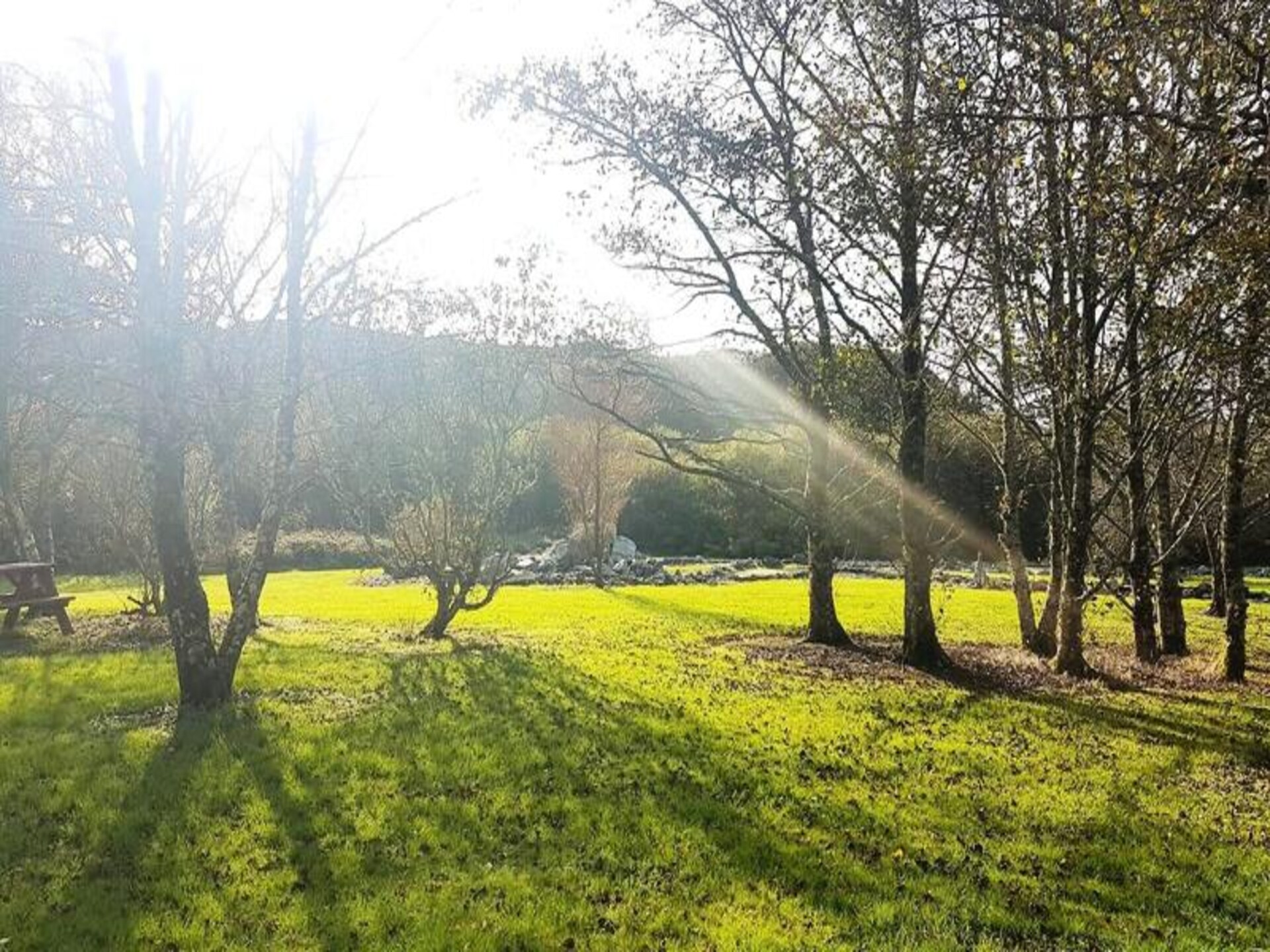 Ruim vakantiehuis voor 5 in Connemara, 3 km van Clifden met tuin - foto 24