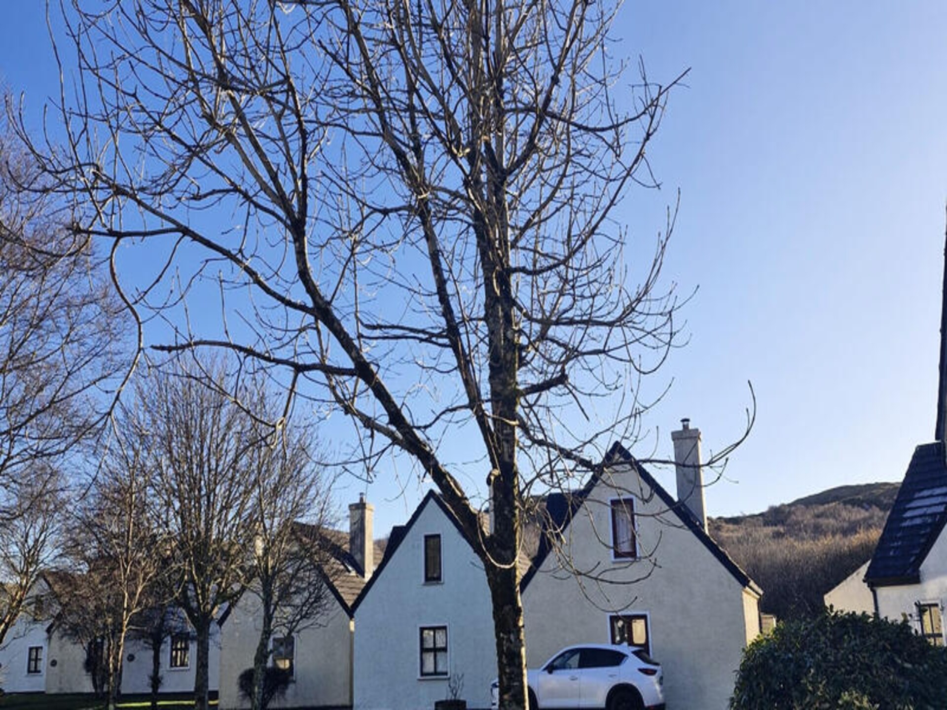 Ruim vakantiehuis voor 5 in Connemara, 3 km van Clifden met tuin - foto 28